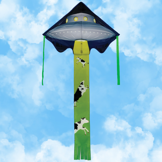 Large Easy Flyer Kite - UFO