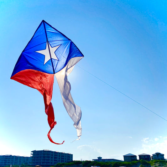 77" Wave Delta Kite - Texas