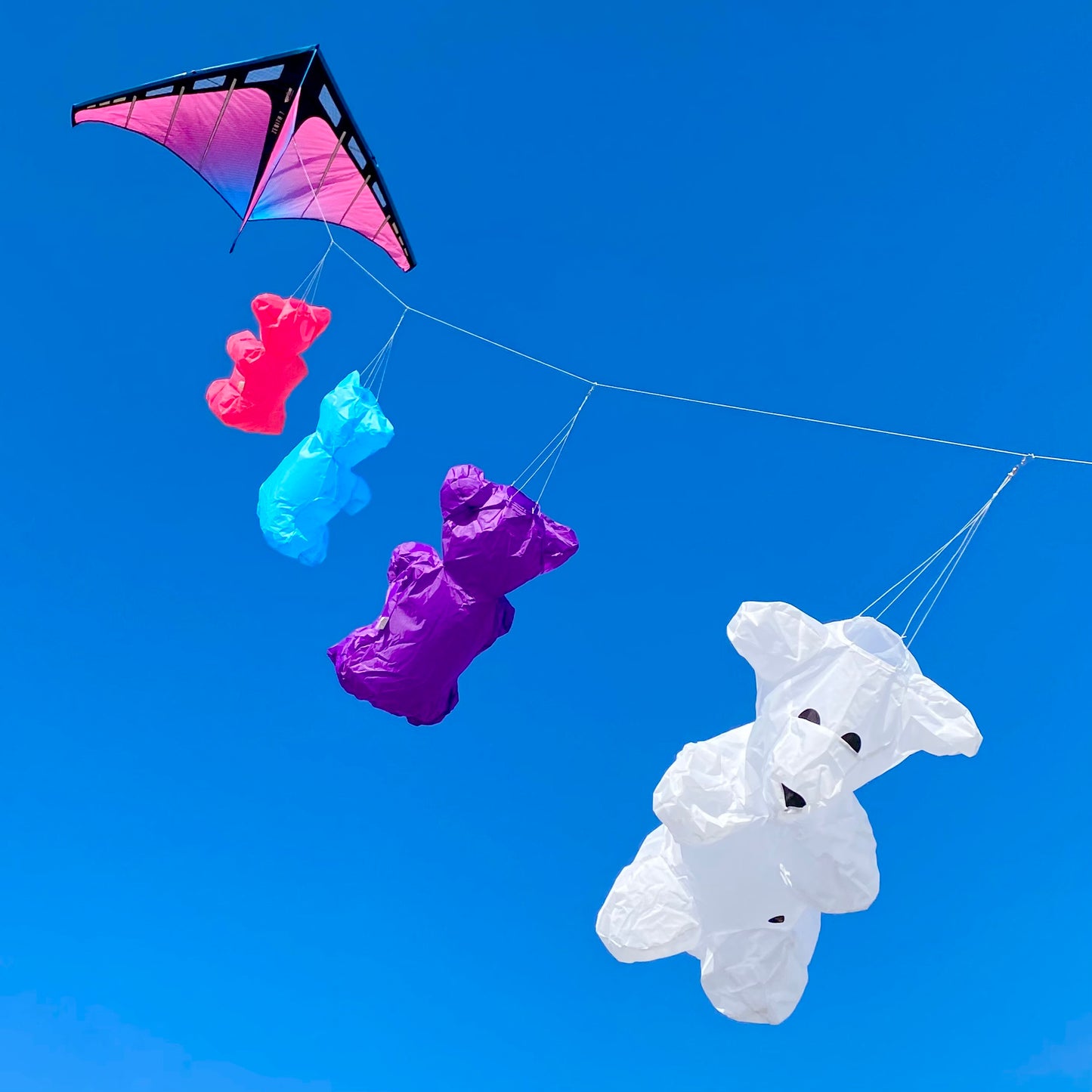 Windsock Bear - Purple