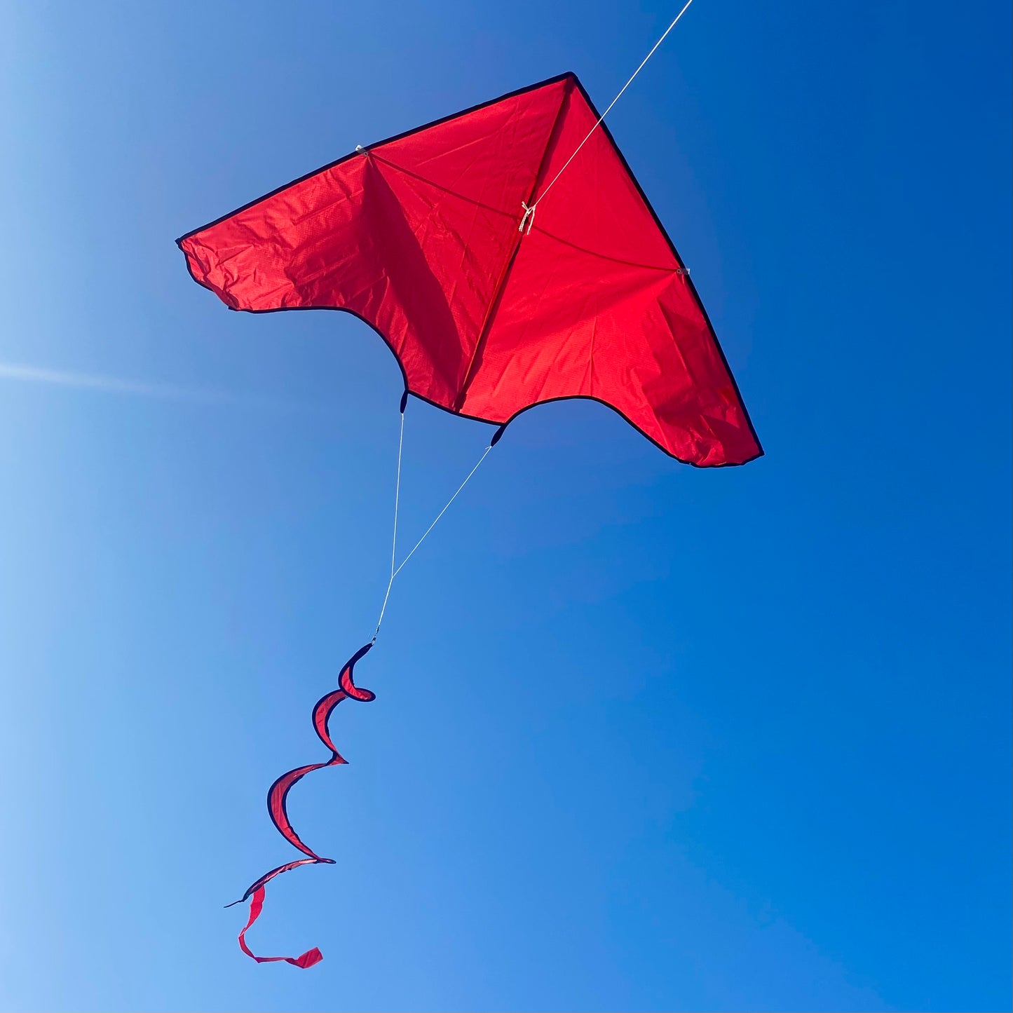 Red Delta Kite