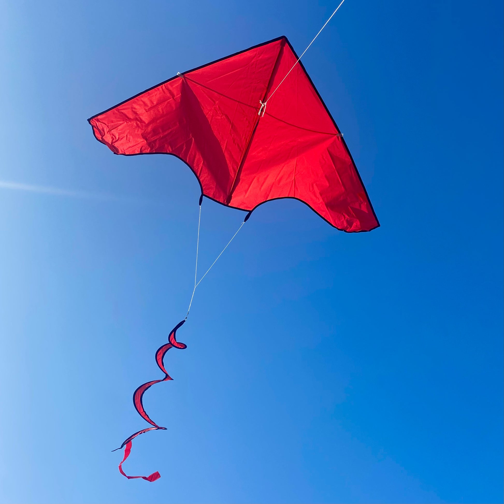 Red Delta Kite