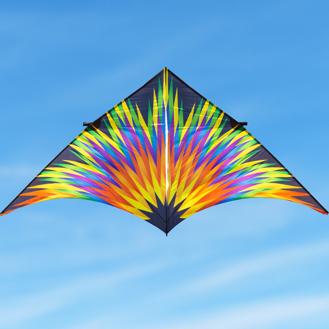 4M Delta Kite - Fireworks