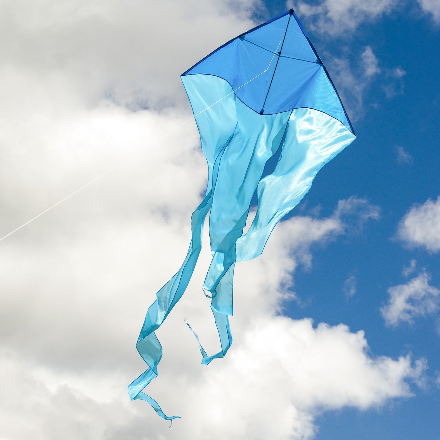 52" Wave Delta Kite - Blue