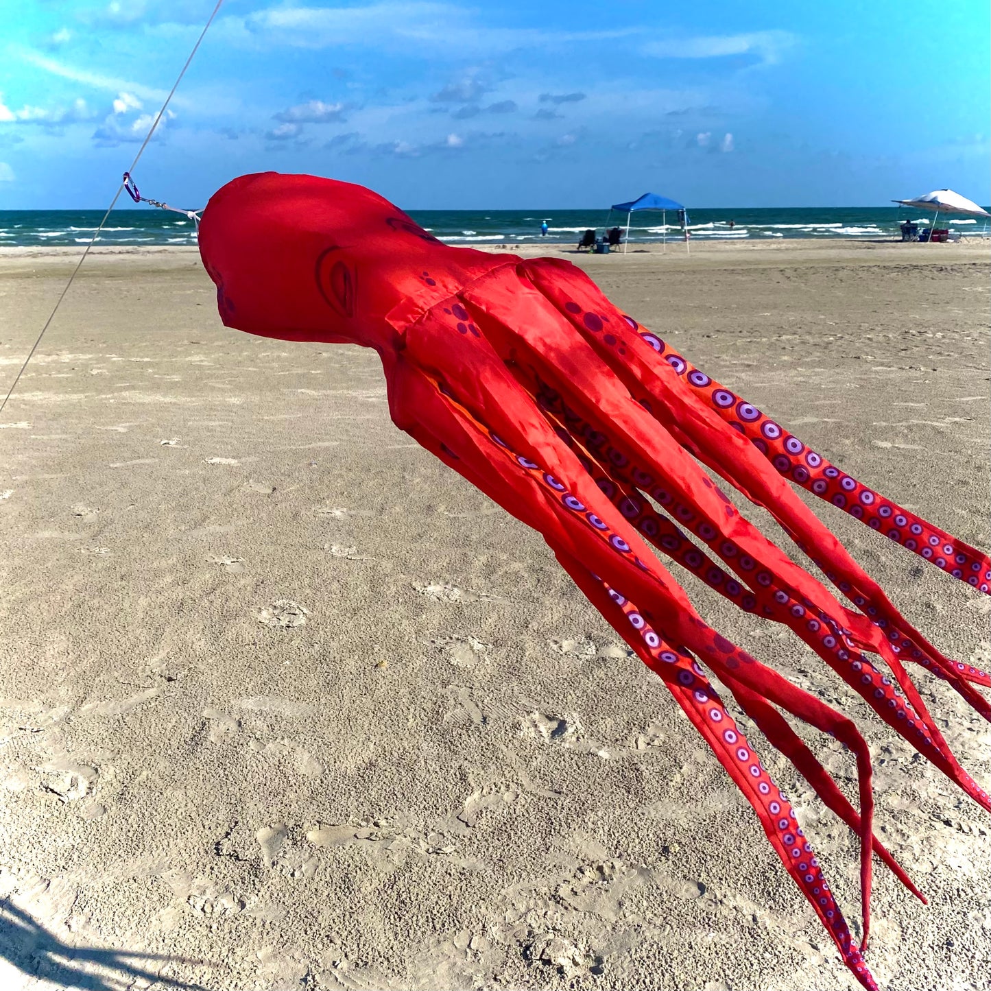 Octopus 3D Windsock