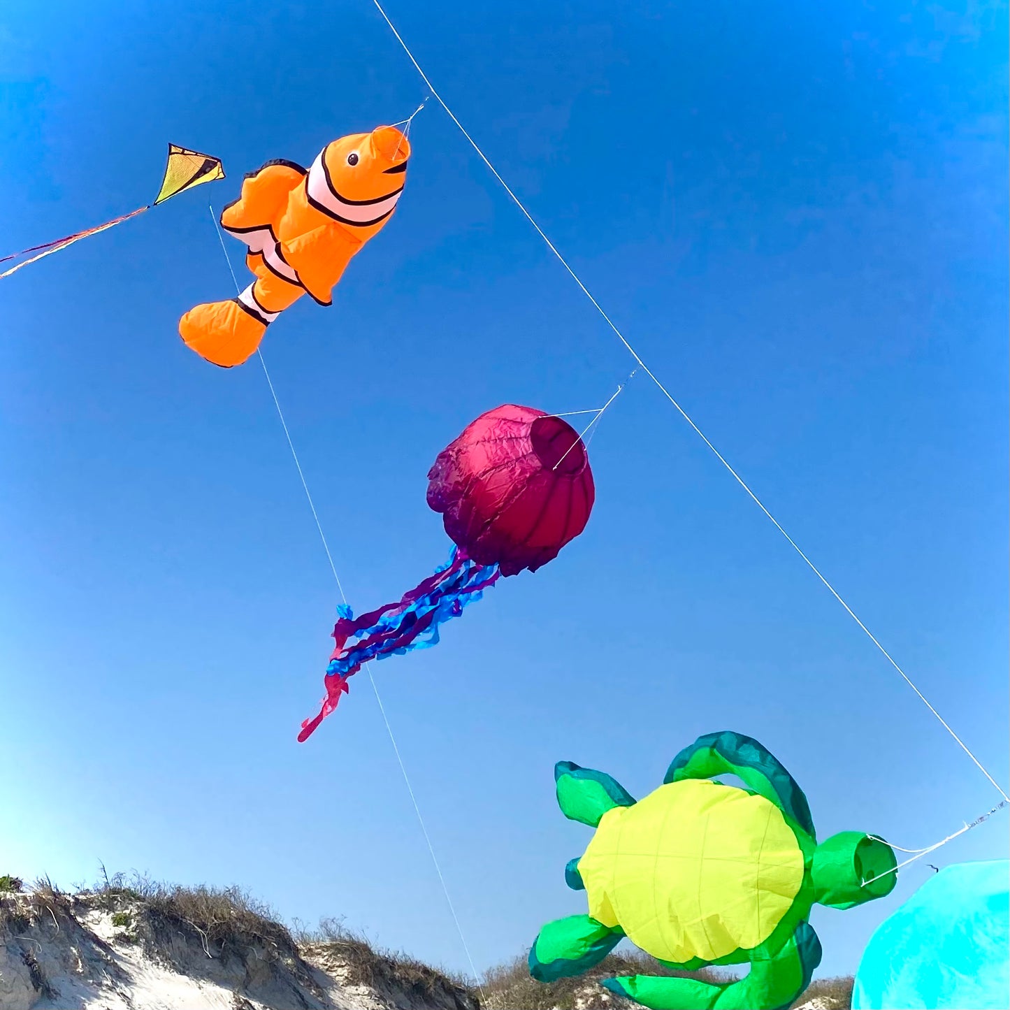 Big Breeze Windsock - Jellyfish