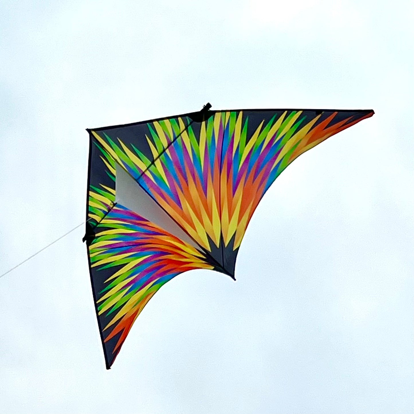 4M Delta Kite - Fireworks