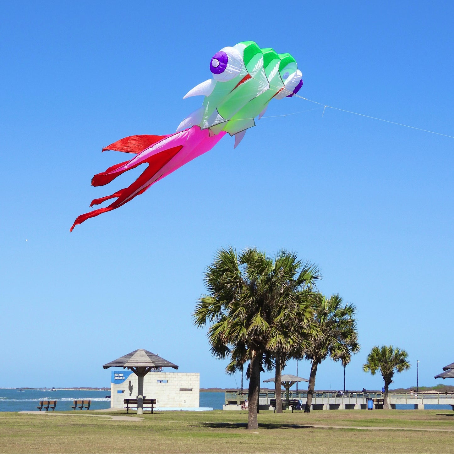 Colorful kite flying high in a clear blue sky with palm trees and a beach in the background.