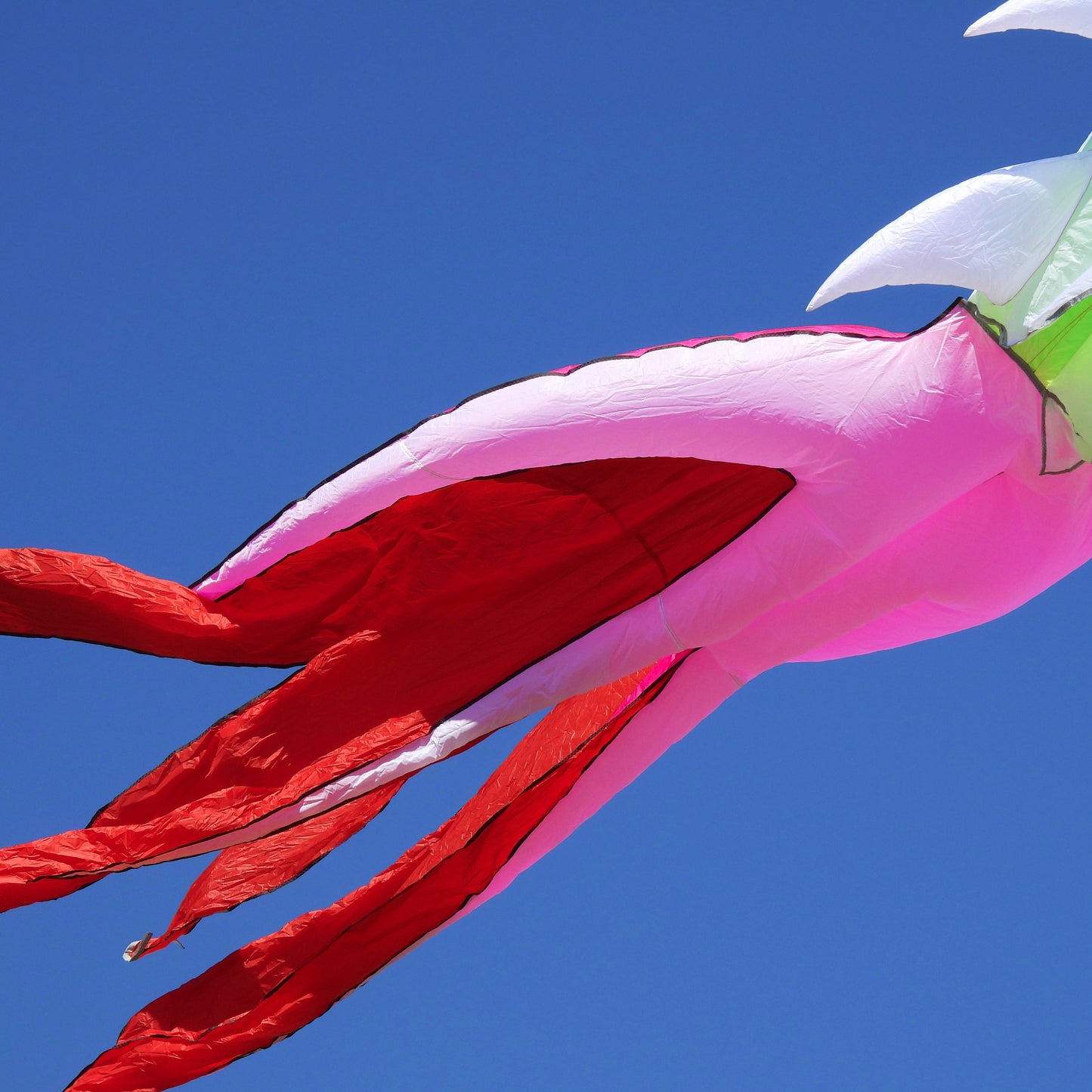 Colorful kite with pink and red tail against a clear blue sky