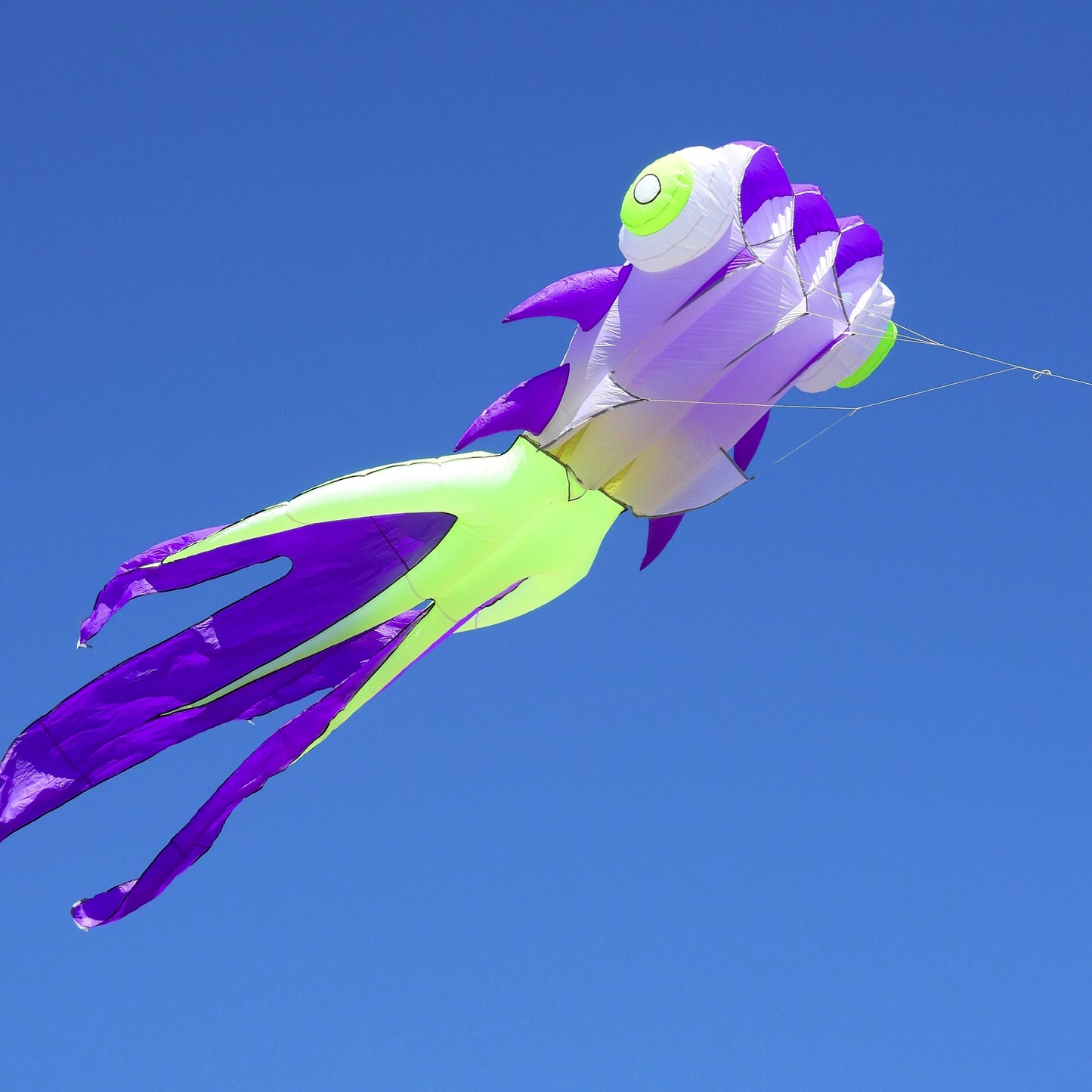 Colorful kite shaped like a fish against a clear blue sky