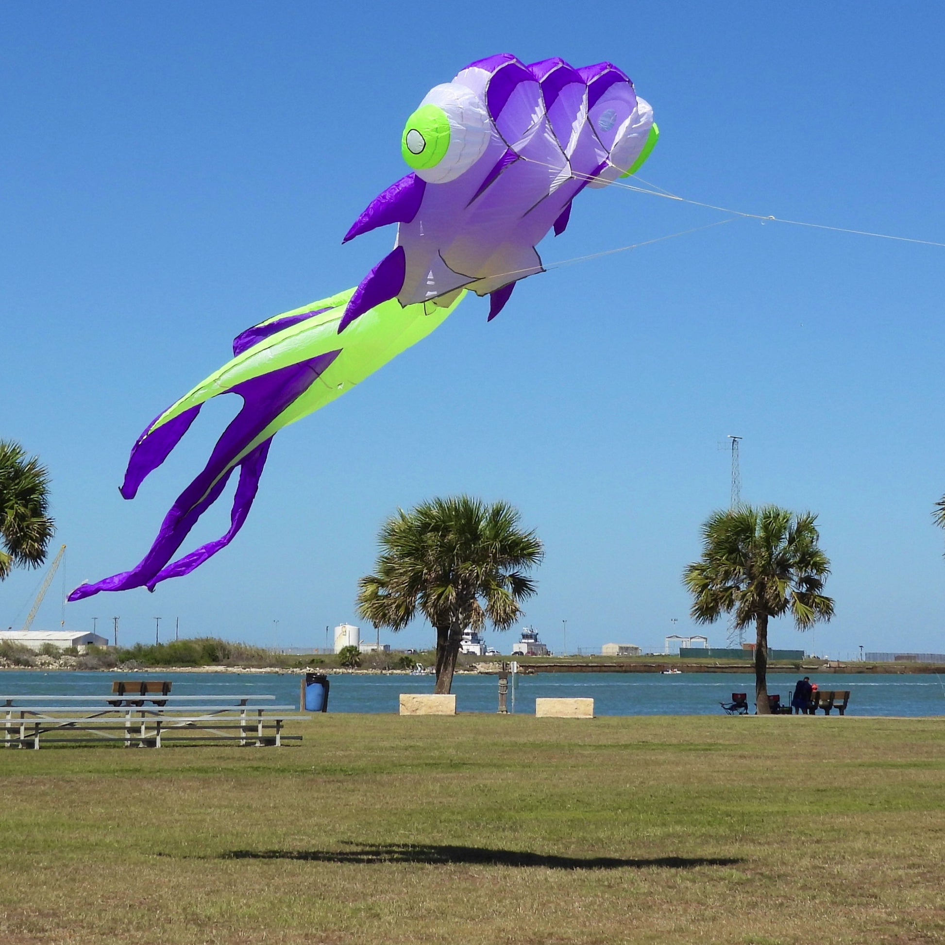 Large purple and green kite flying over a park with palm trees and benches.
