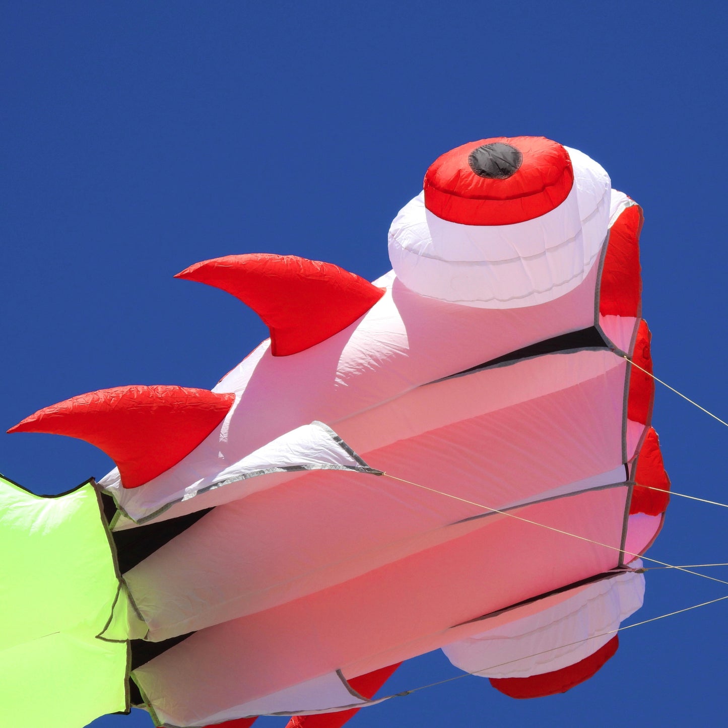 Colorful goldfish kite with red and white design against a clear blue sky