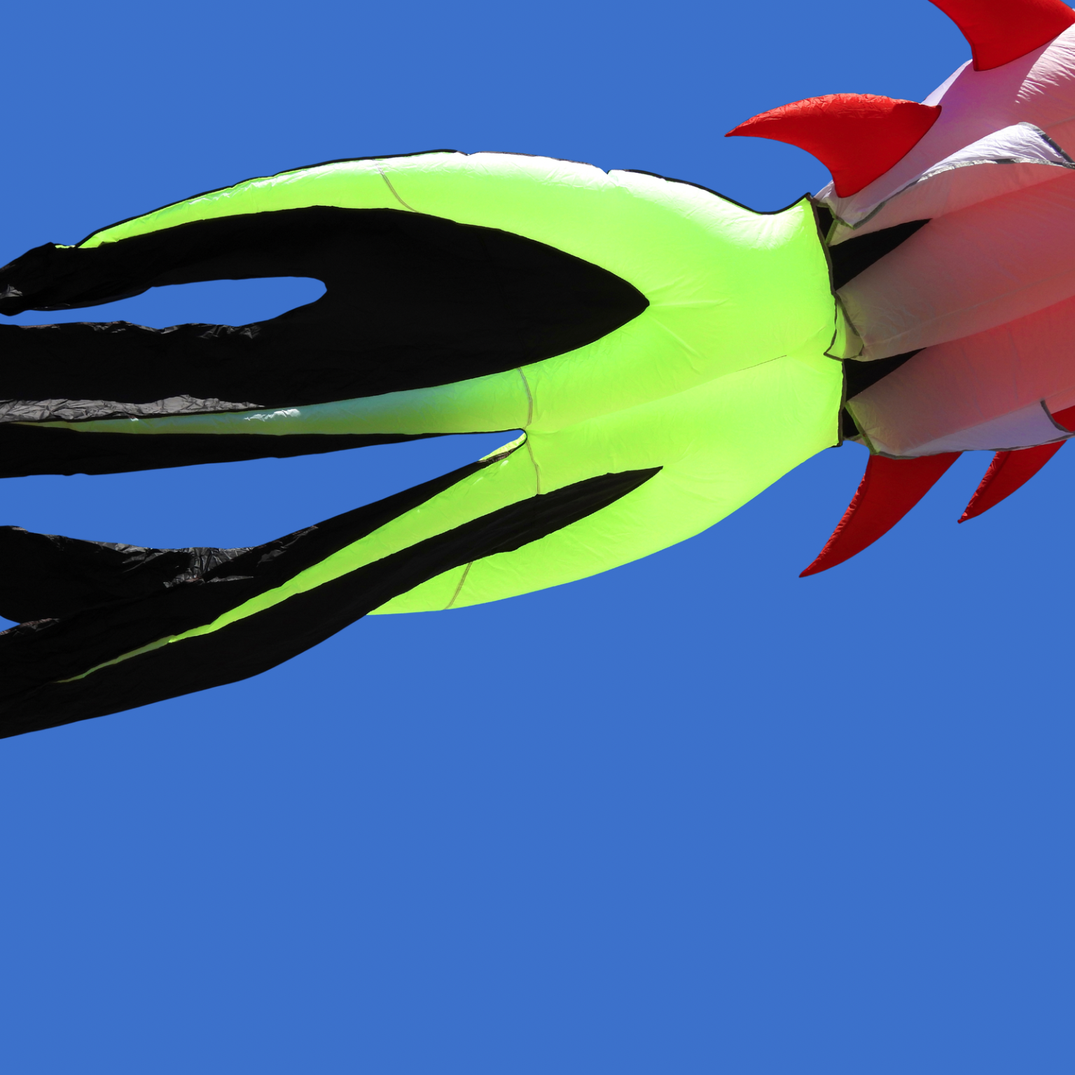 Inflatable fish tail with black, green, and red colors against a blue sky.