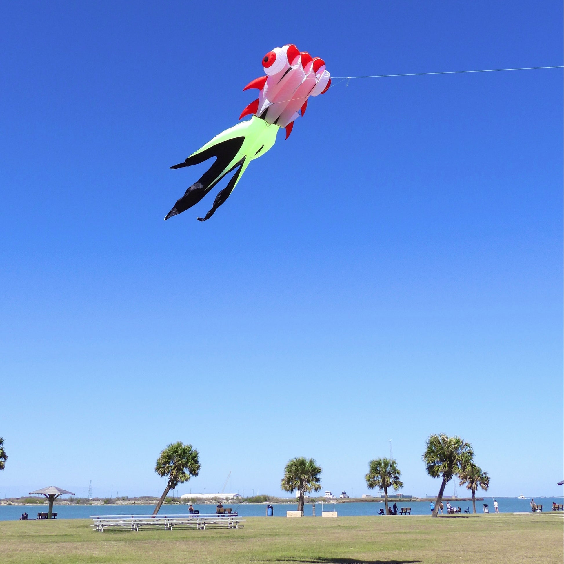 Colorful kite flying high in a clear blue sky with a park and water in the background.