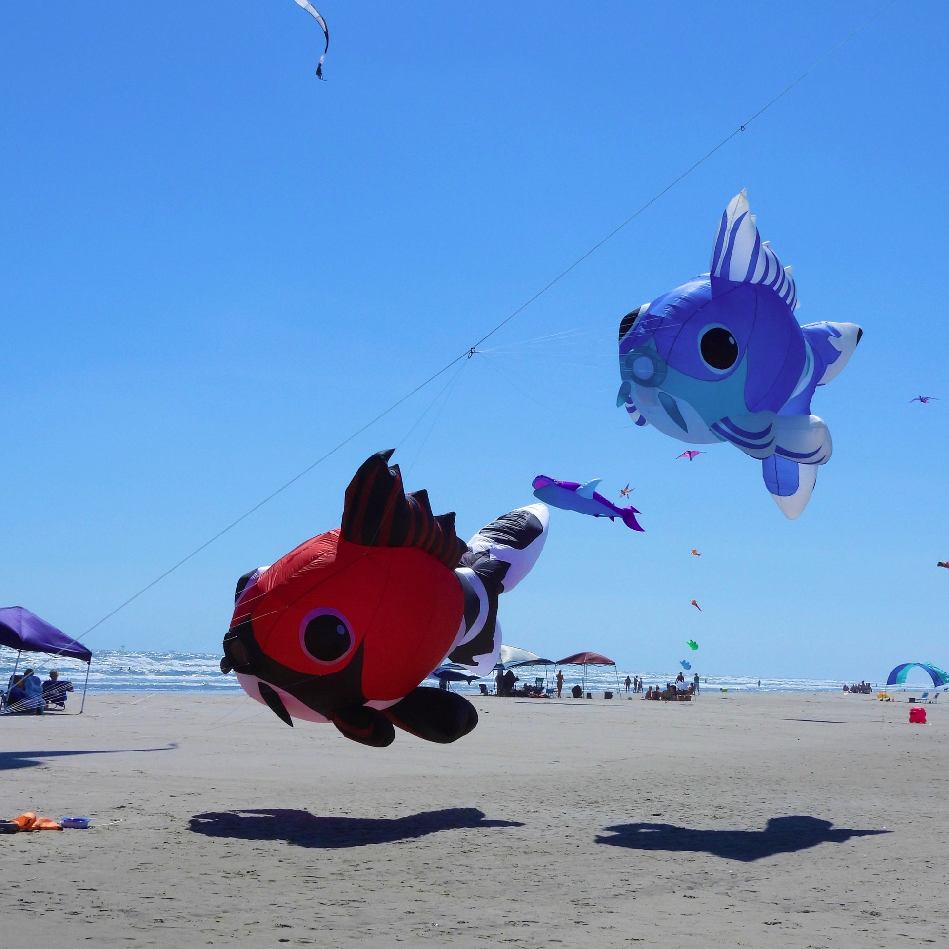 Kites shaped like fish flying over a sandy beach with people in the distance.