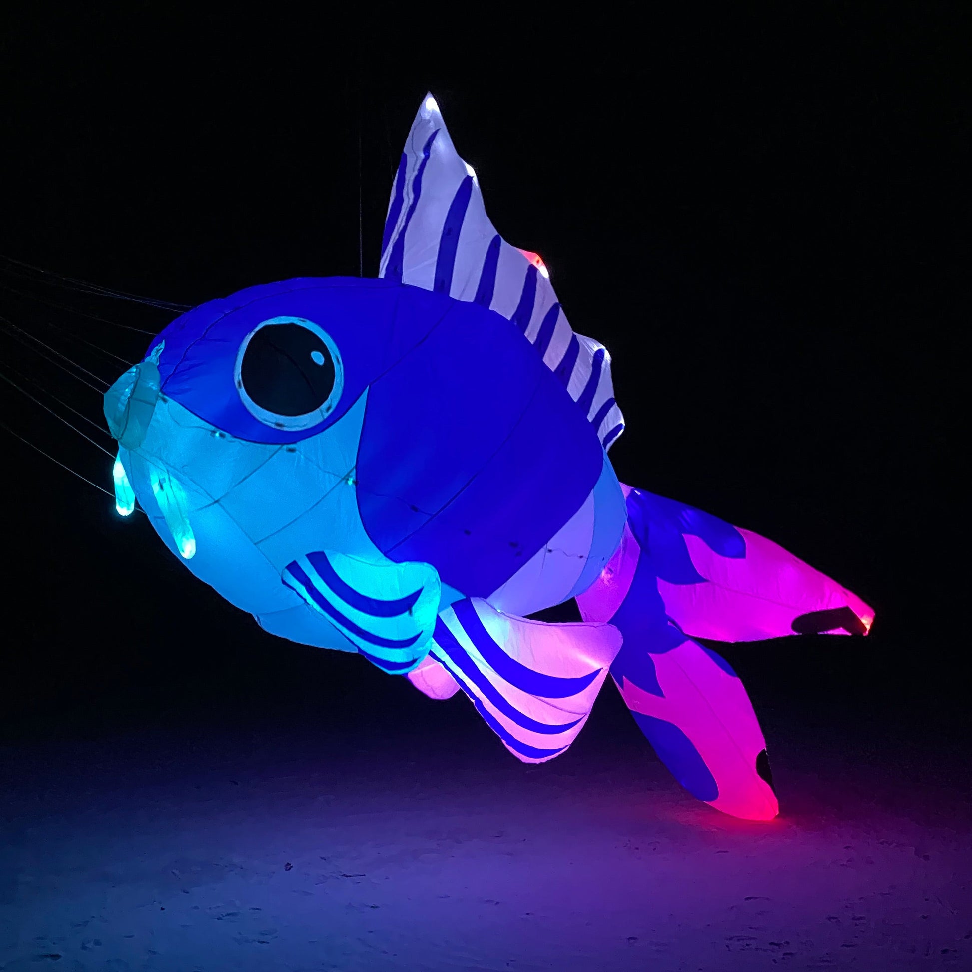 Goldfish kite with glowing blue and pink colors on a dark background
