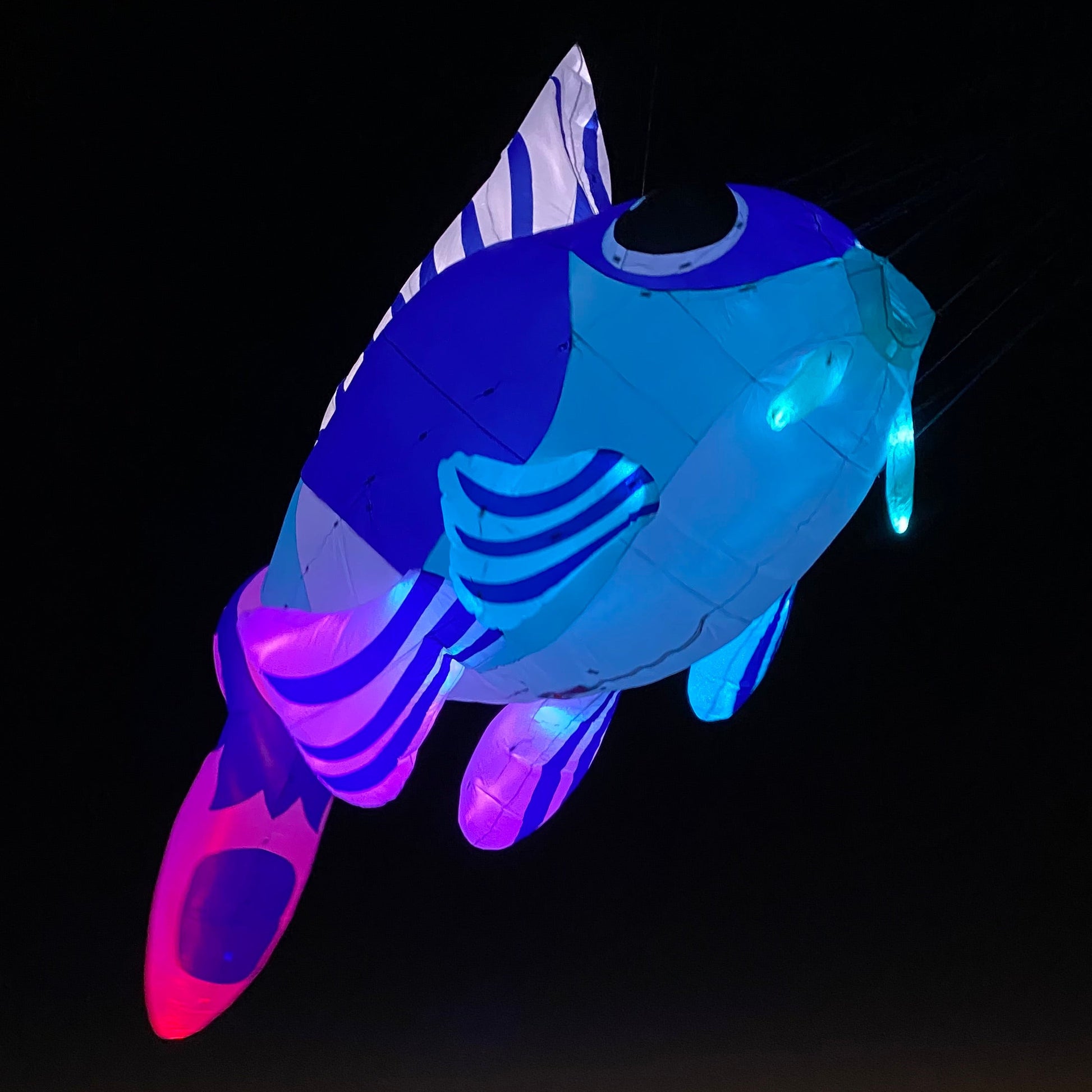 Goldfish shaped kite  glowing blue and pink design on a dark background
