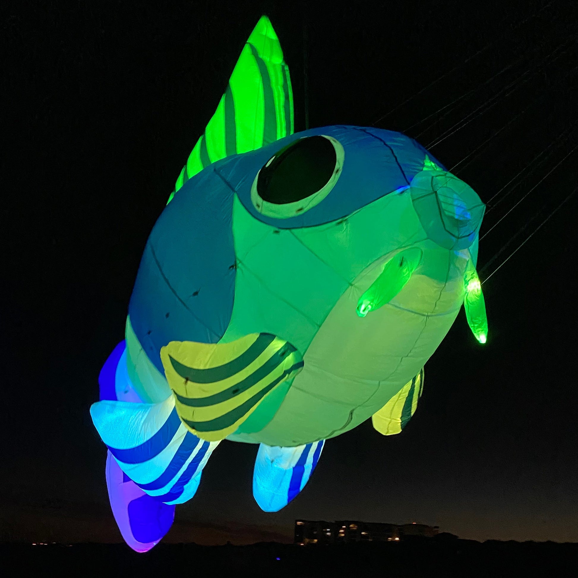 Glowing fish-shaped object on a dark background
