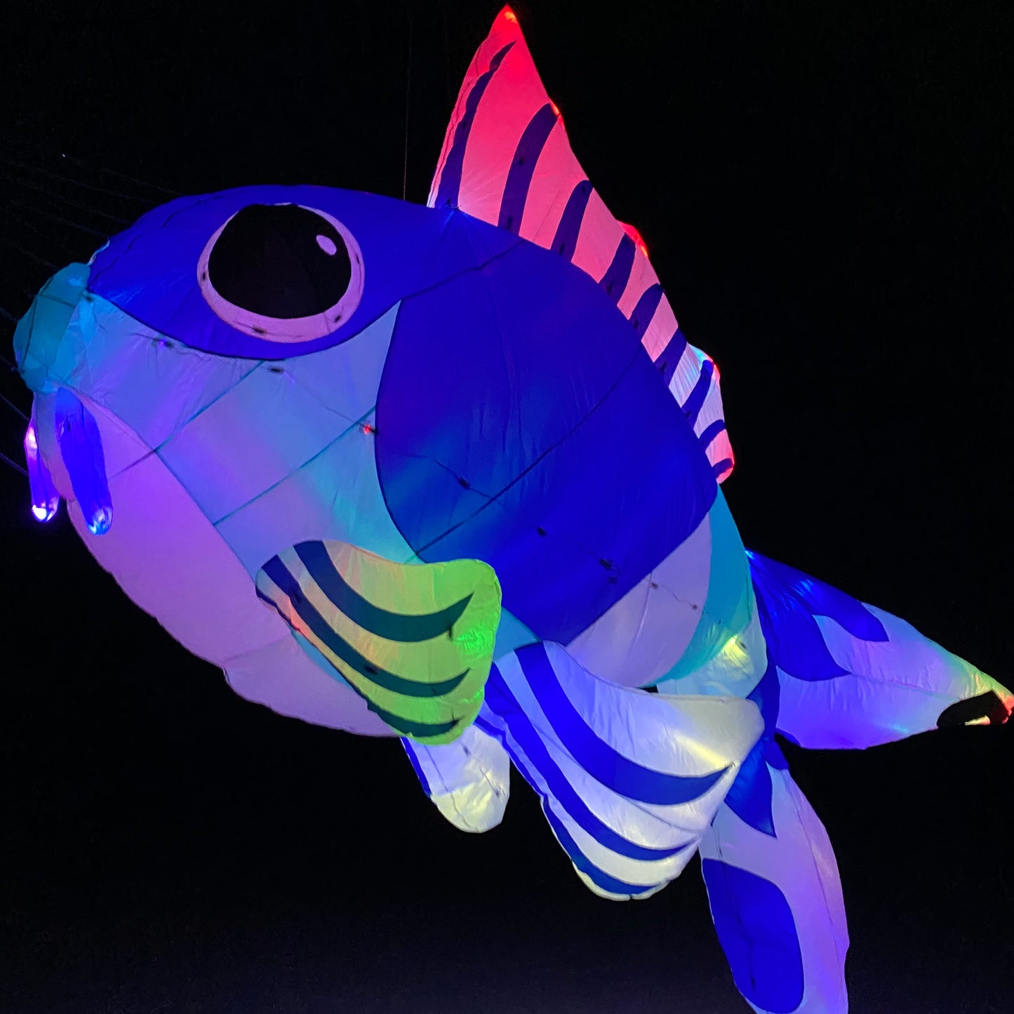 Colorful inflatable fish-shaped object with LED lights on a dark background