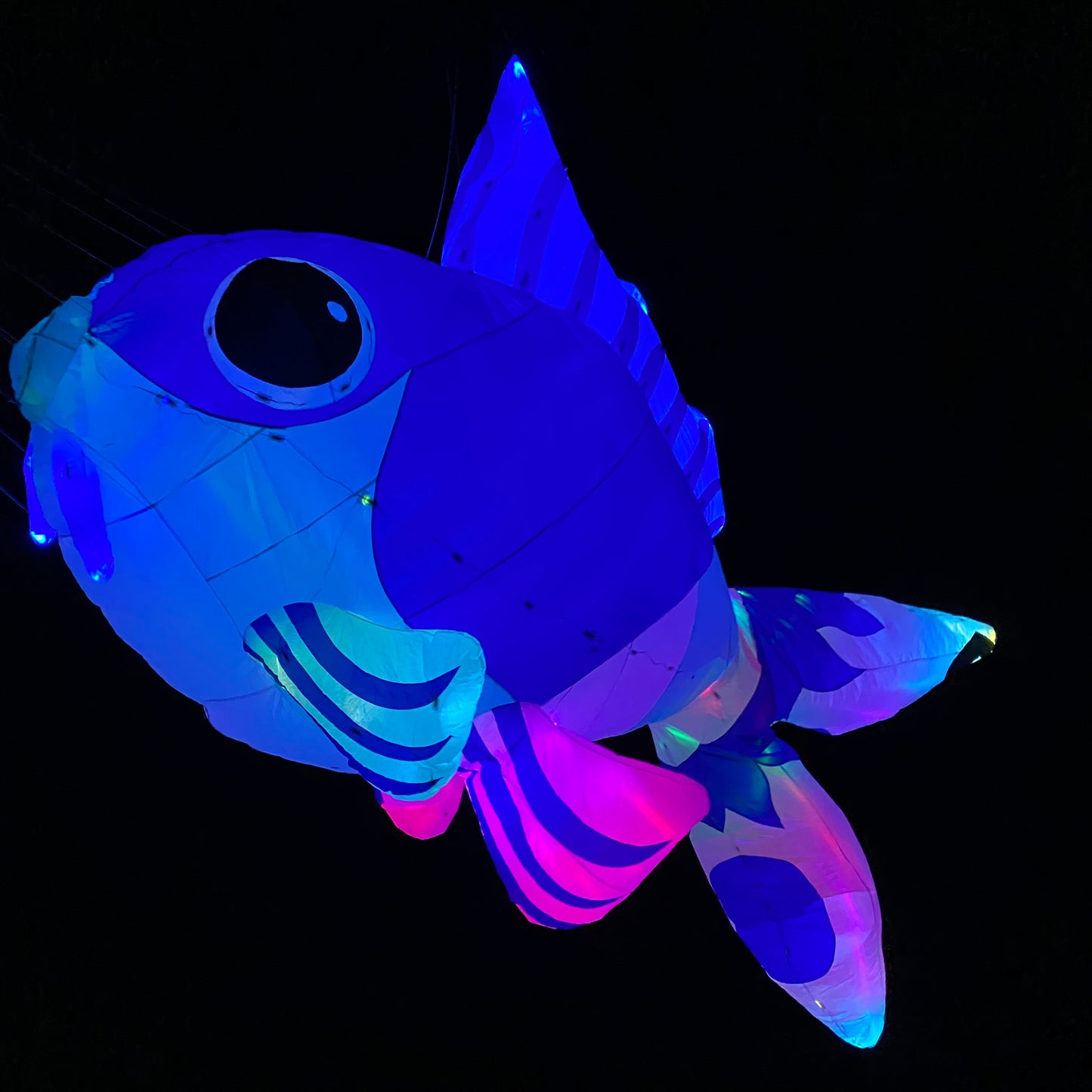 Colorful fish-shaped object glowing on black background