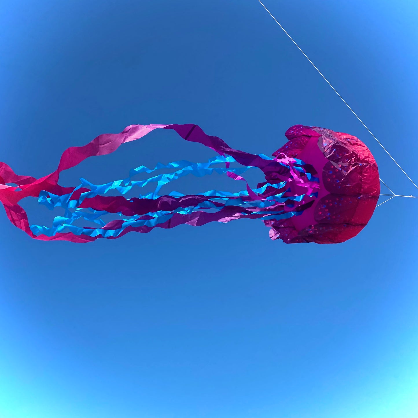 Big Breeze Windsock - Jellyfish