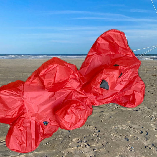 Windsock Bear - Red