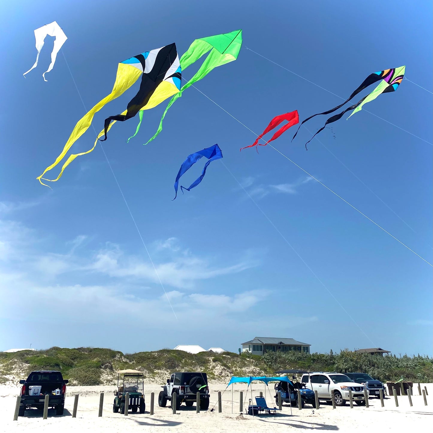 77" Wave Delta Kite - Blue