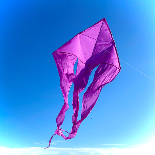 77" Wave Delta Kite - Purple