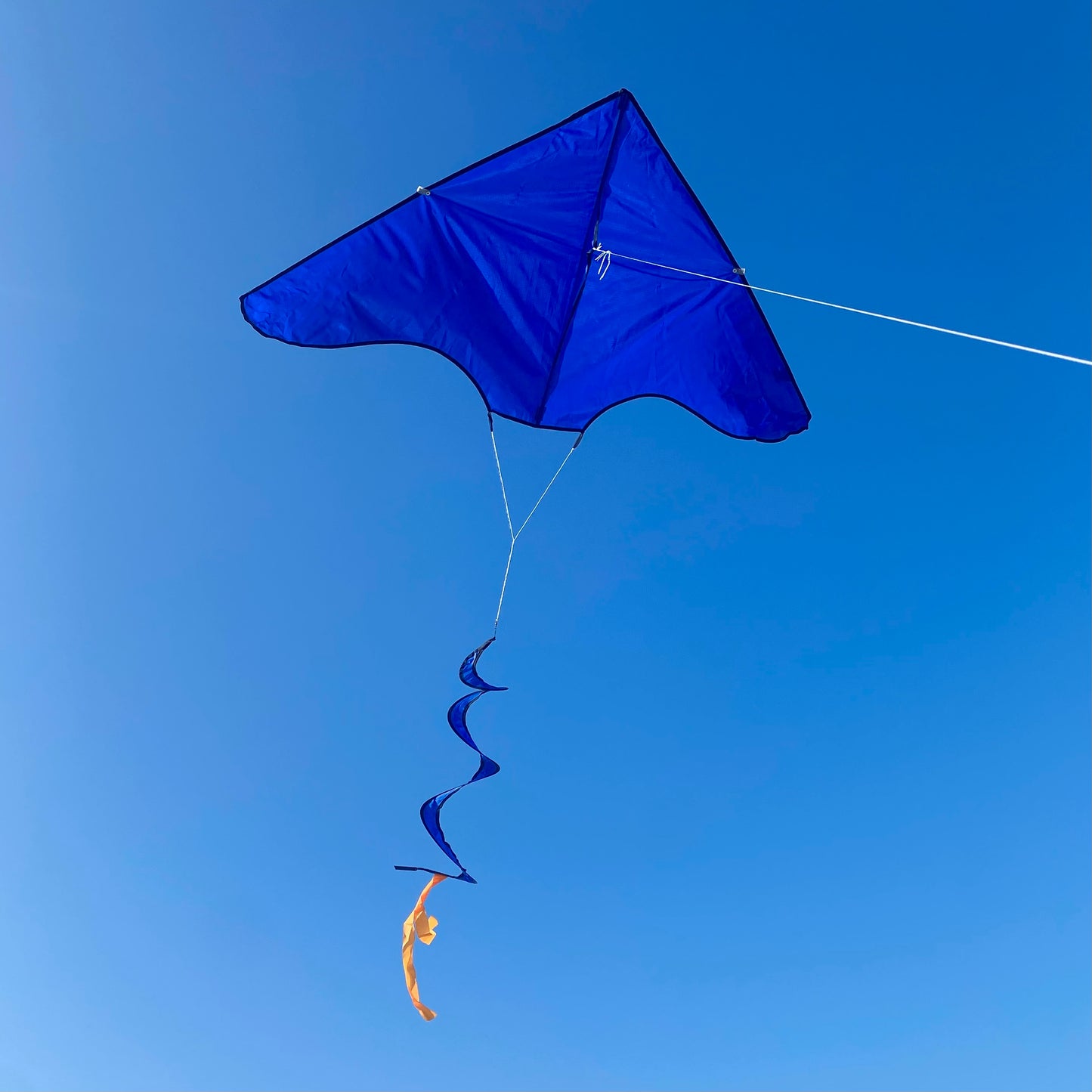 Blue Delta Kite