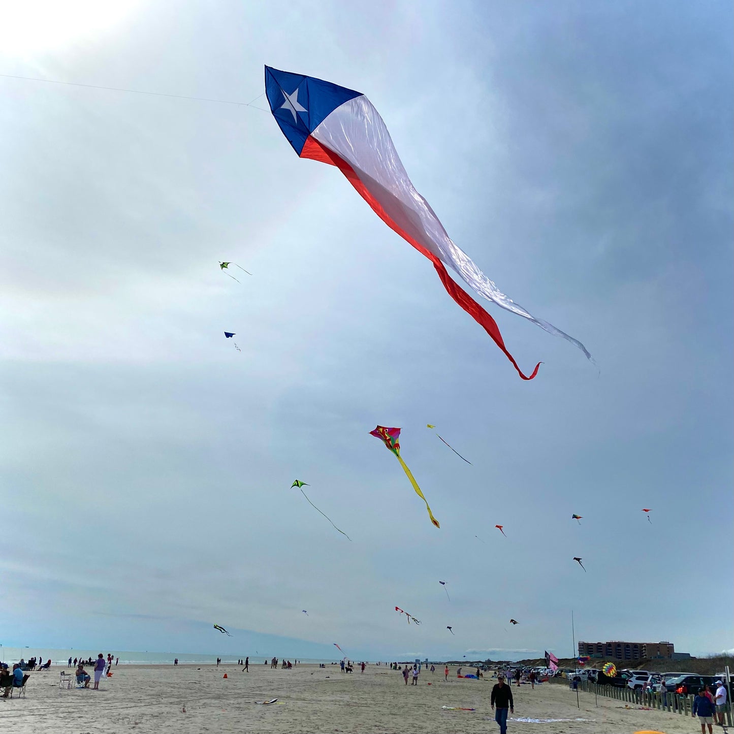 77" Wave Delta Kite - Texas