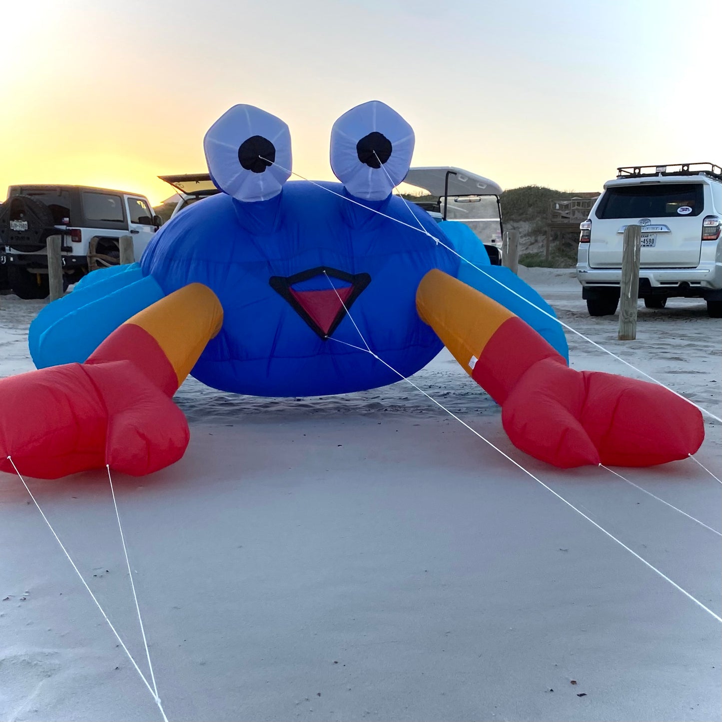 Billy the Crab 3M - Blue