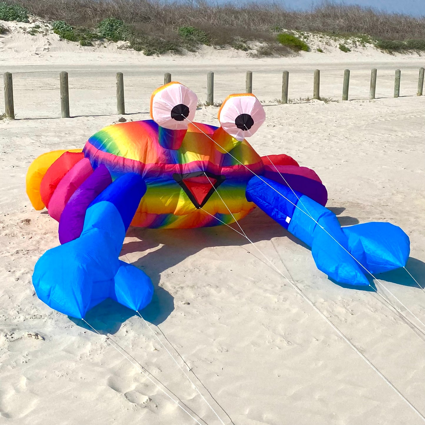 Billy the Crab 3M - Rainbow