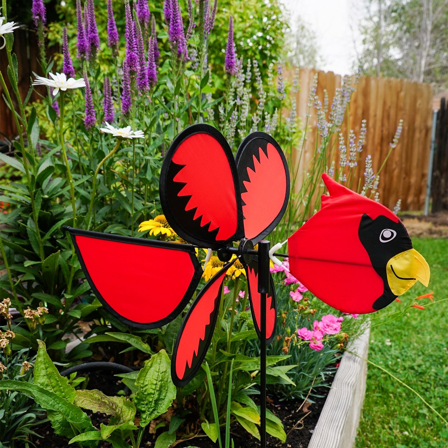 Baby Ground Spinner - Cardinal