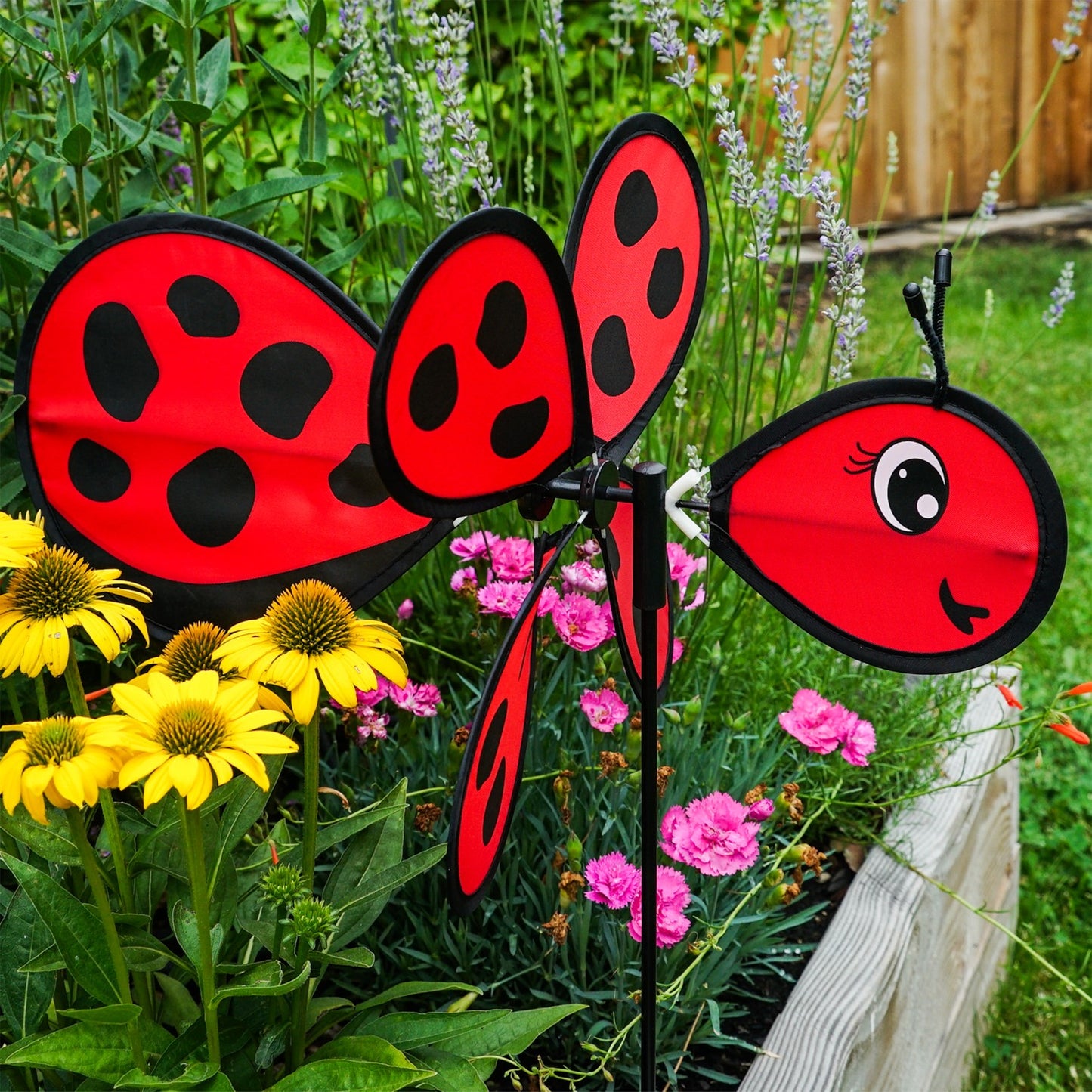 Baby Ground Spinner - Ladybug