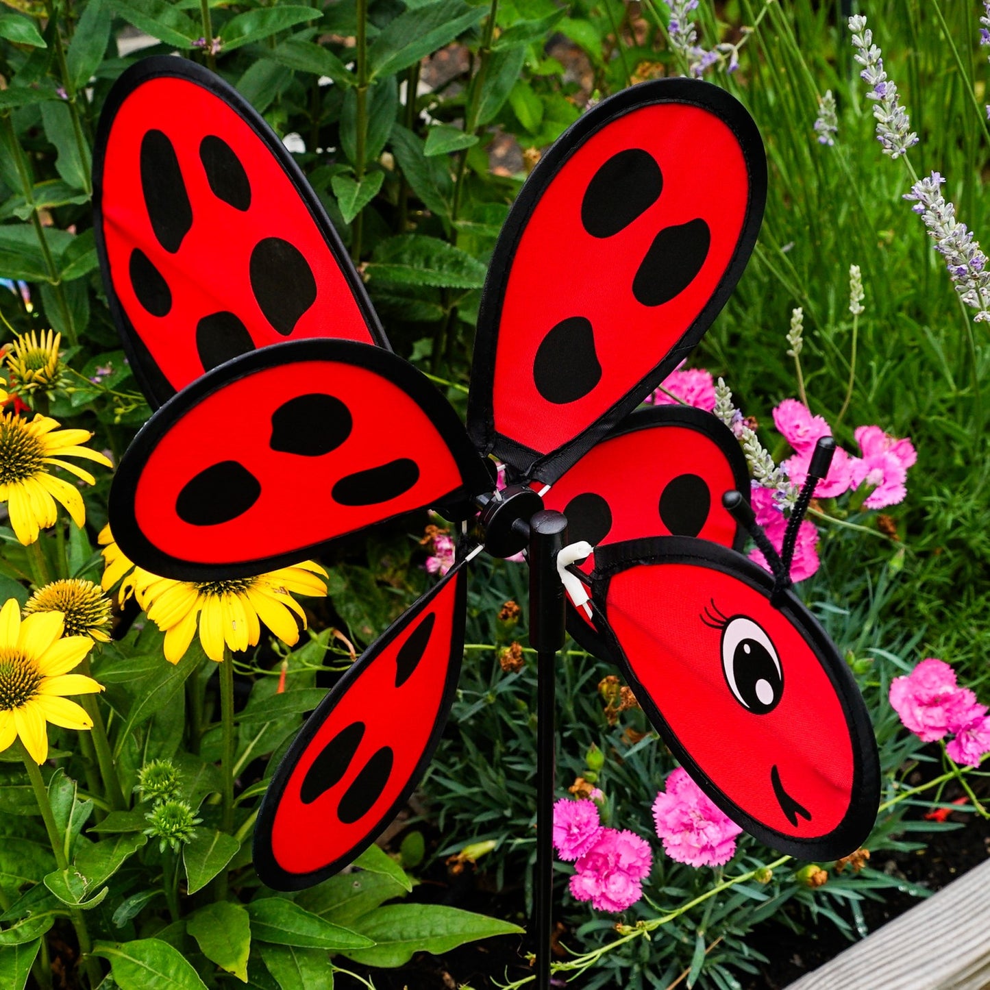 Baby Ground Spinner - Ladybug