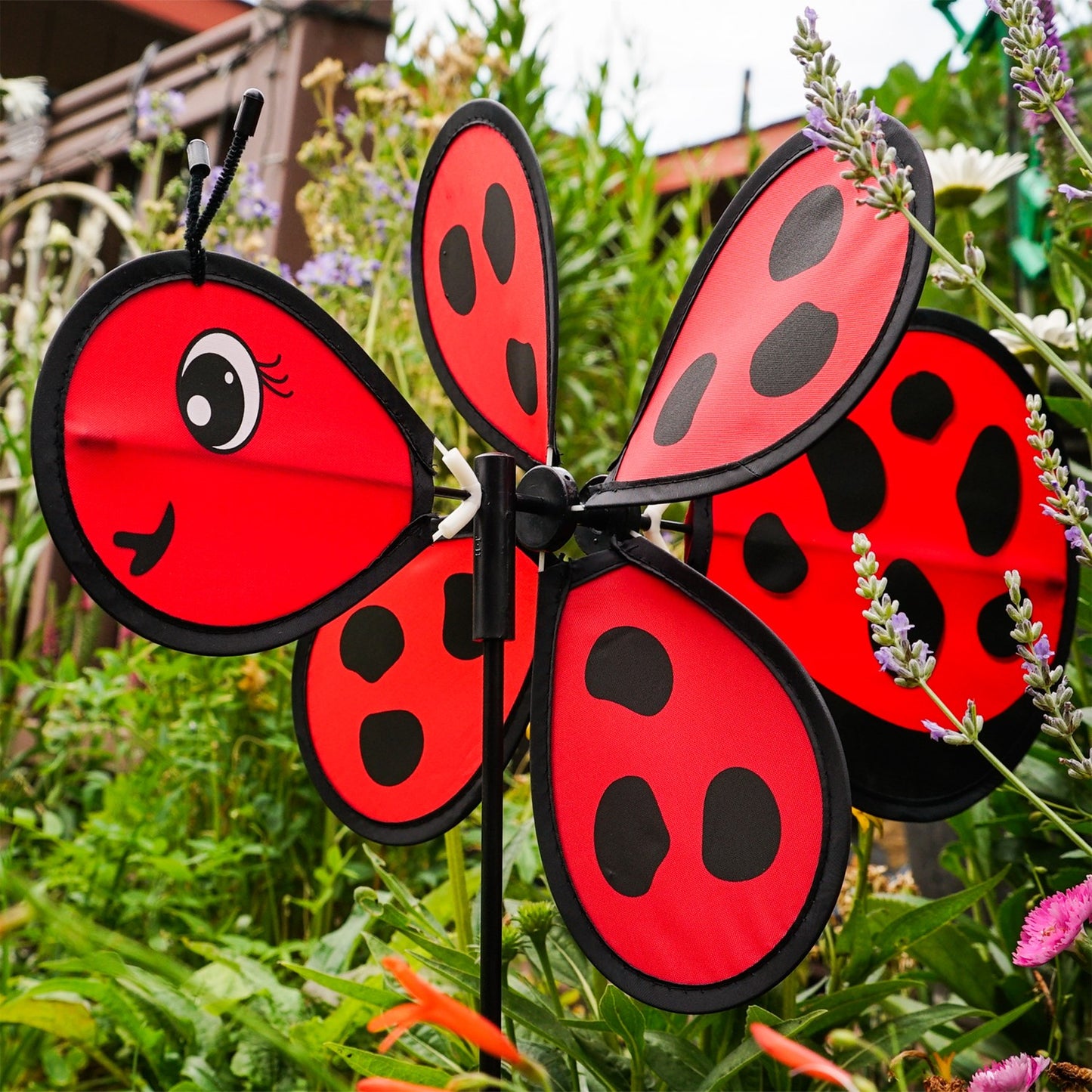 Baby Ground Spinner - Ladybug