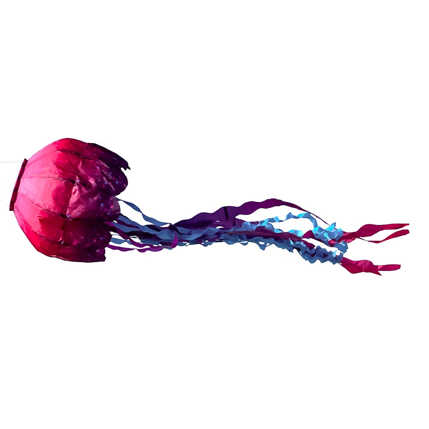 Big Breeze Windsock - Jellyfish