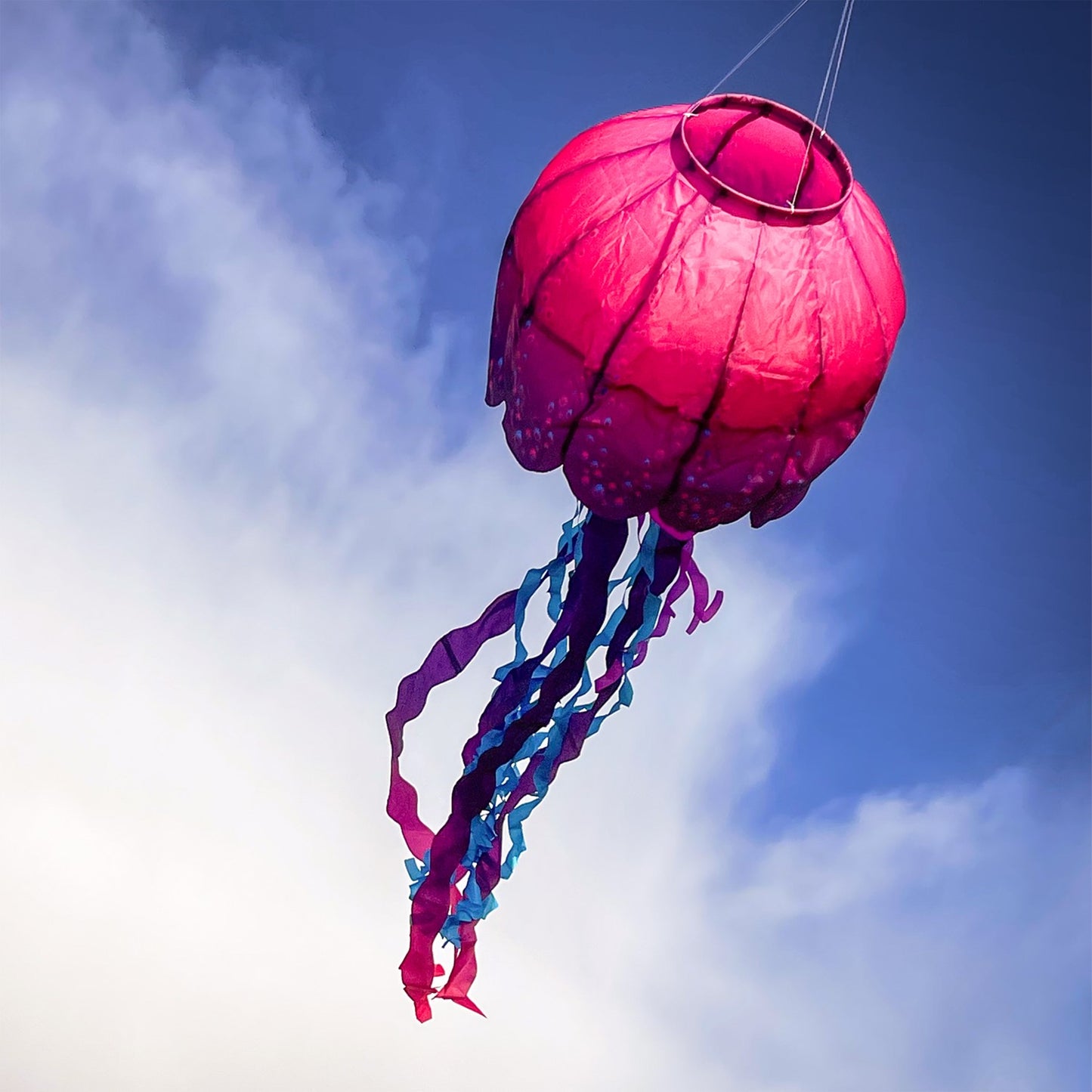 Big Breeze Windsock - Jellyfish