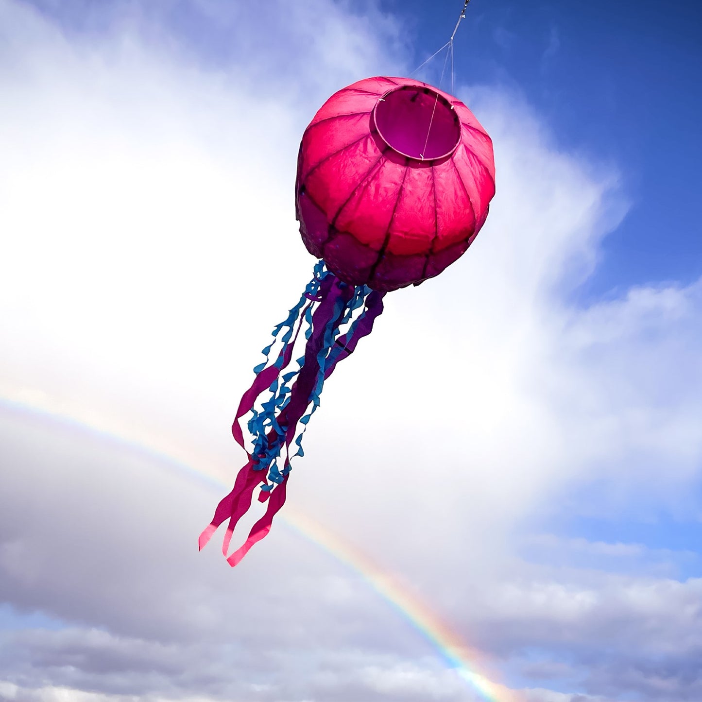 Big Breeze Windsock - Jellyfish