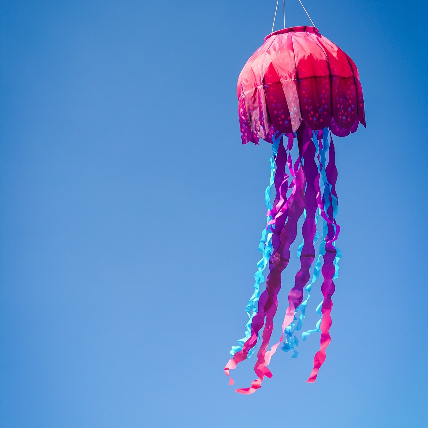 Big Breeze Windsock - Jellyfish