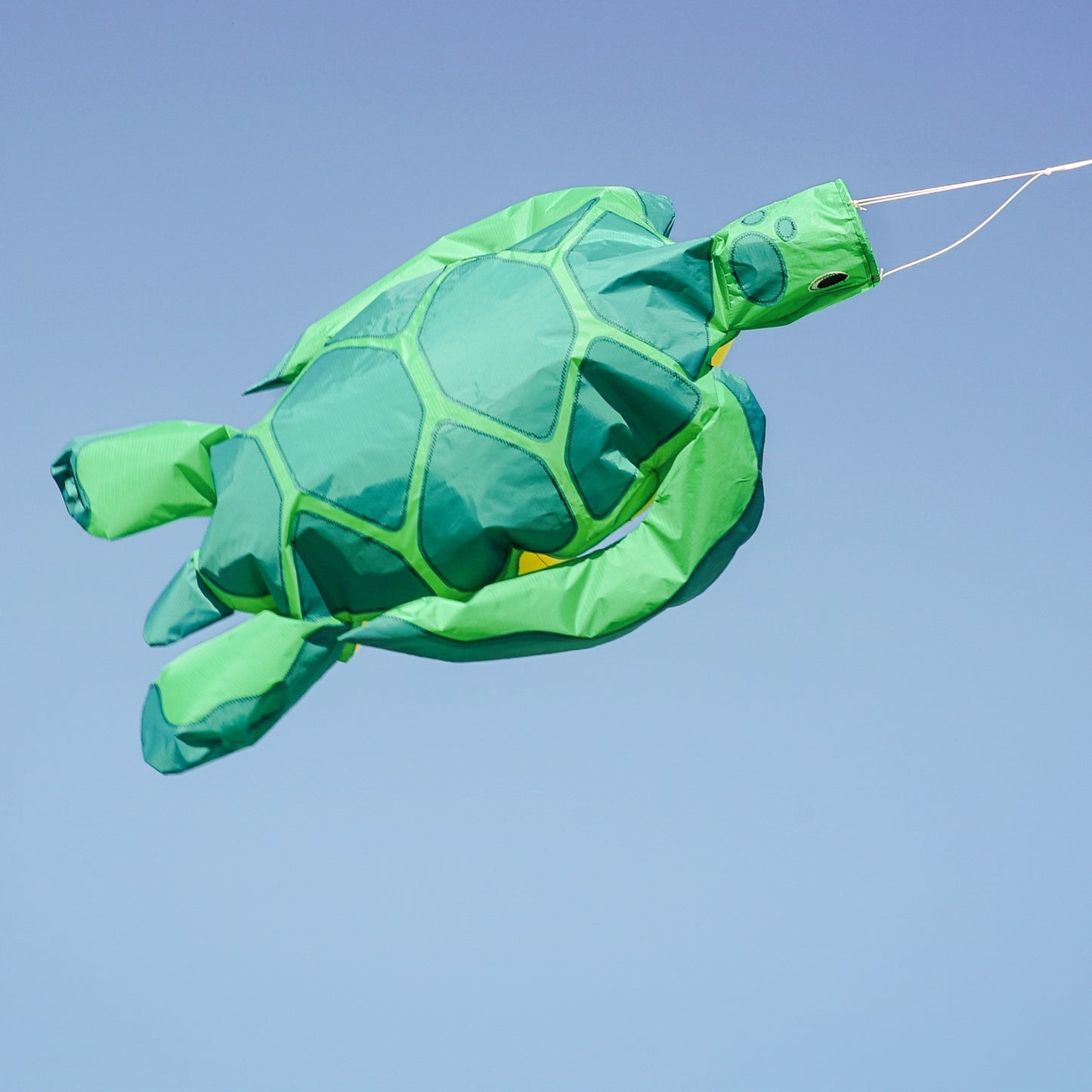 Big Breeze Windsock - Turtle