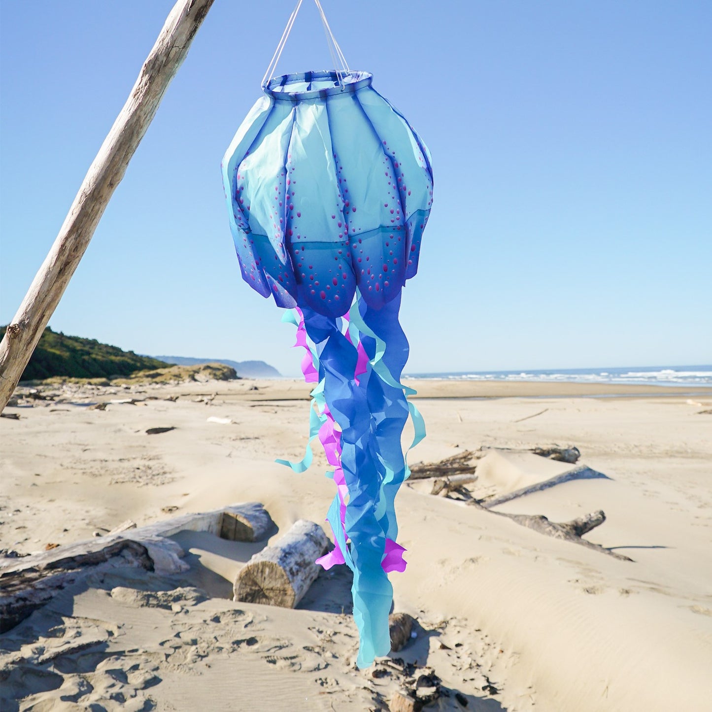 Jellyfish 3D Windsock - Blue