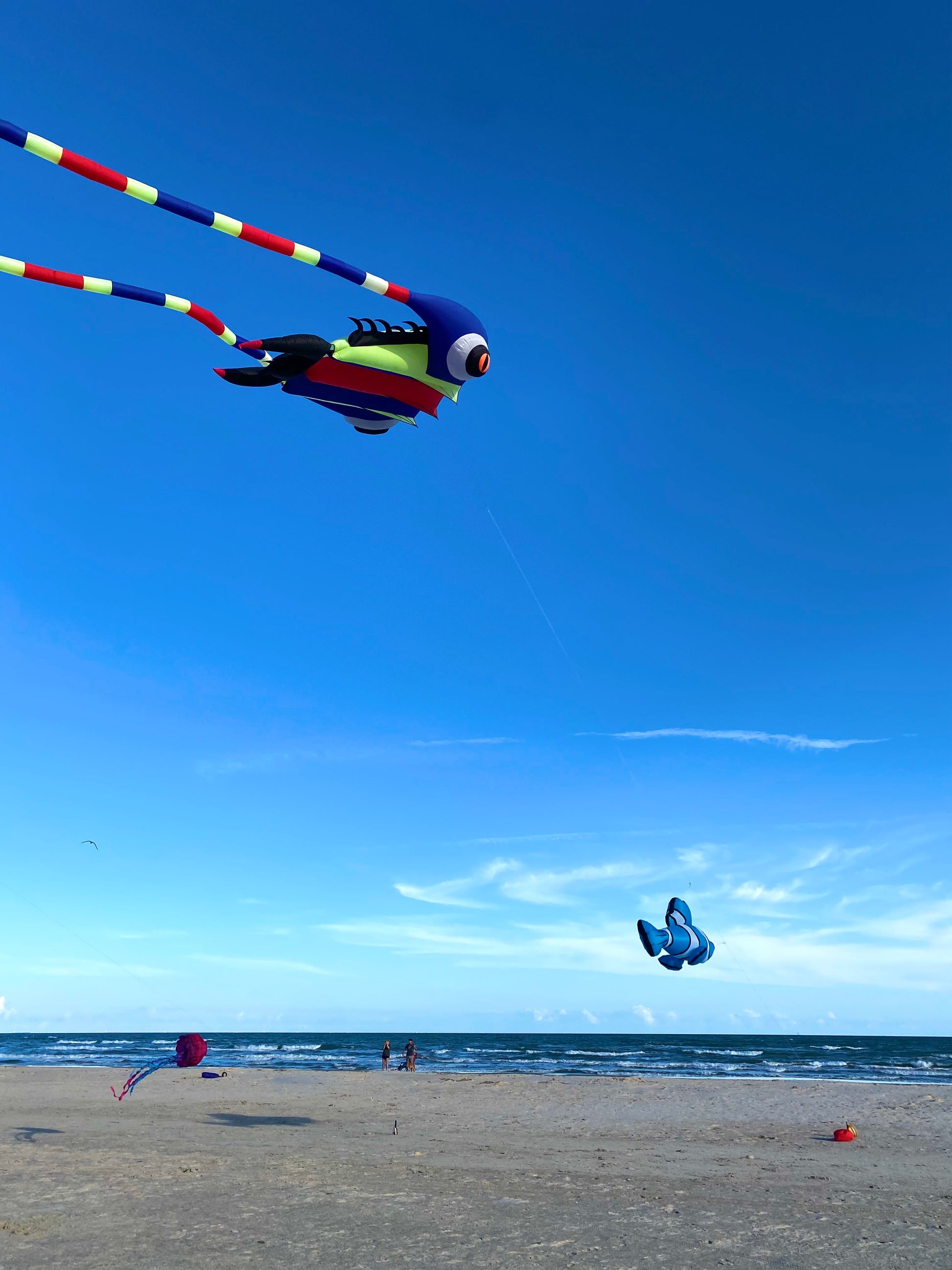 Colorful kite flying over a beach with people in the distance.