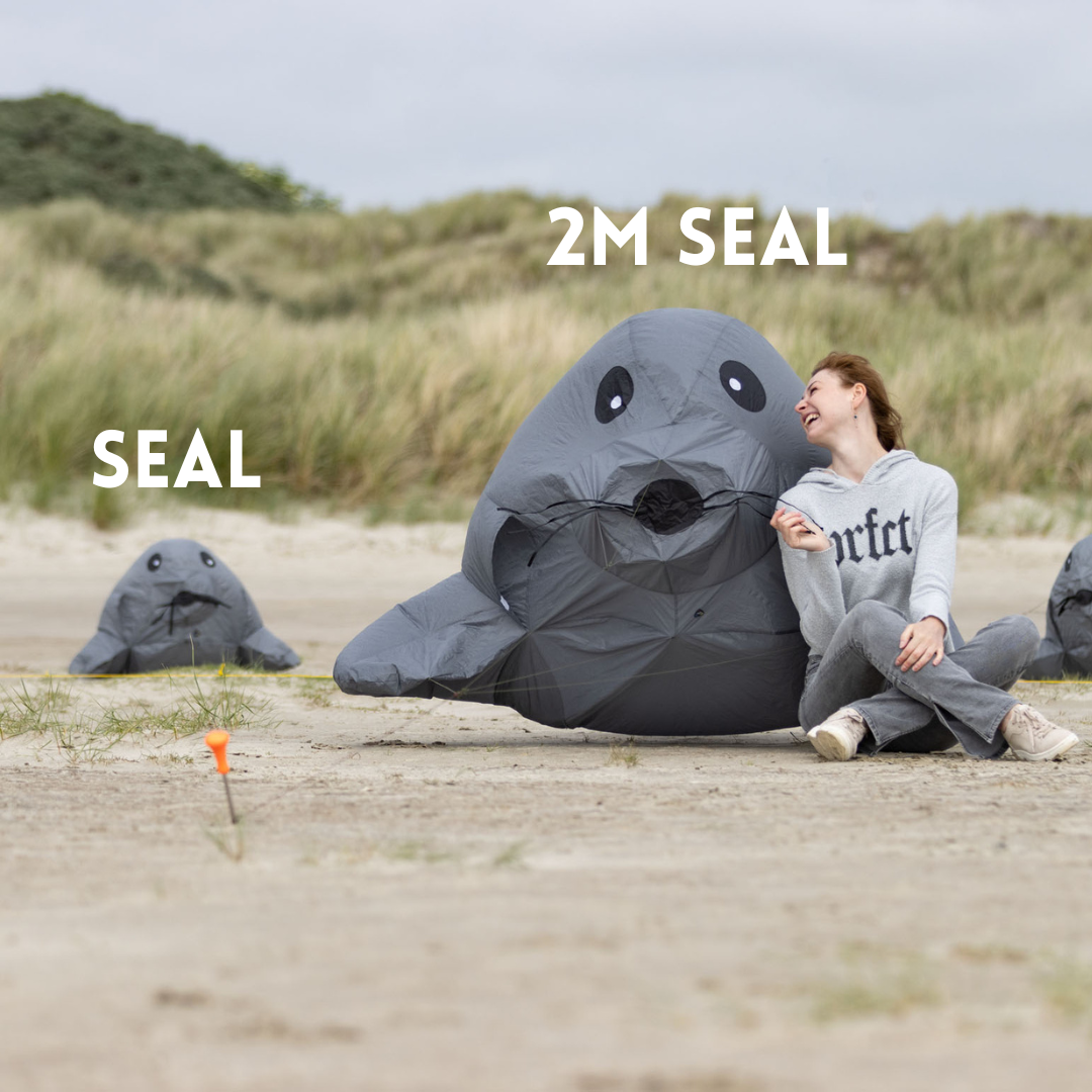 Bouncing Buddy - Seal