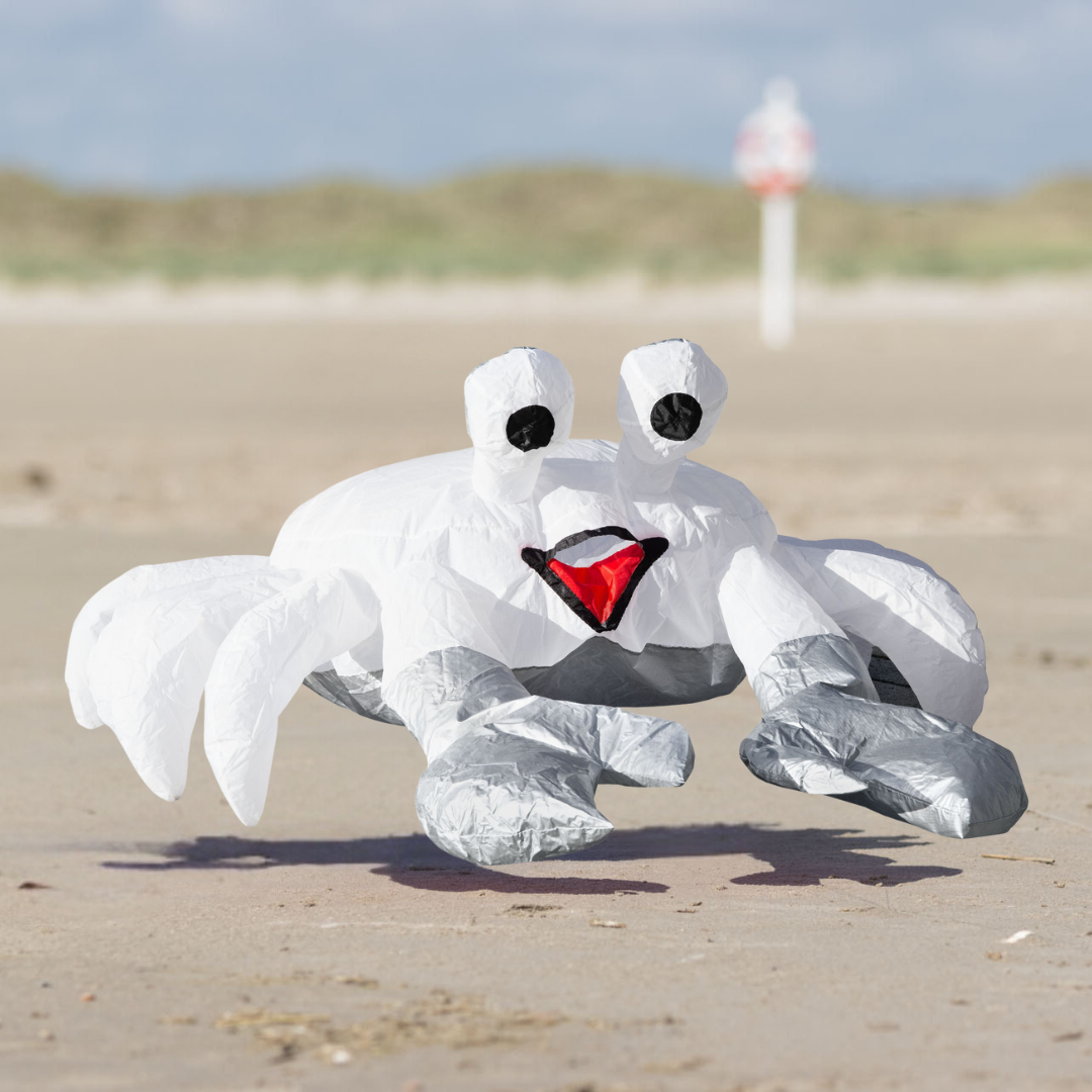 A wind-powered bouncing crab toy on a sandy beach with a drawstring bag for storage, no tangle bridal system, and a ground stake included.