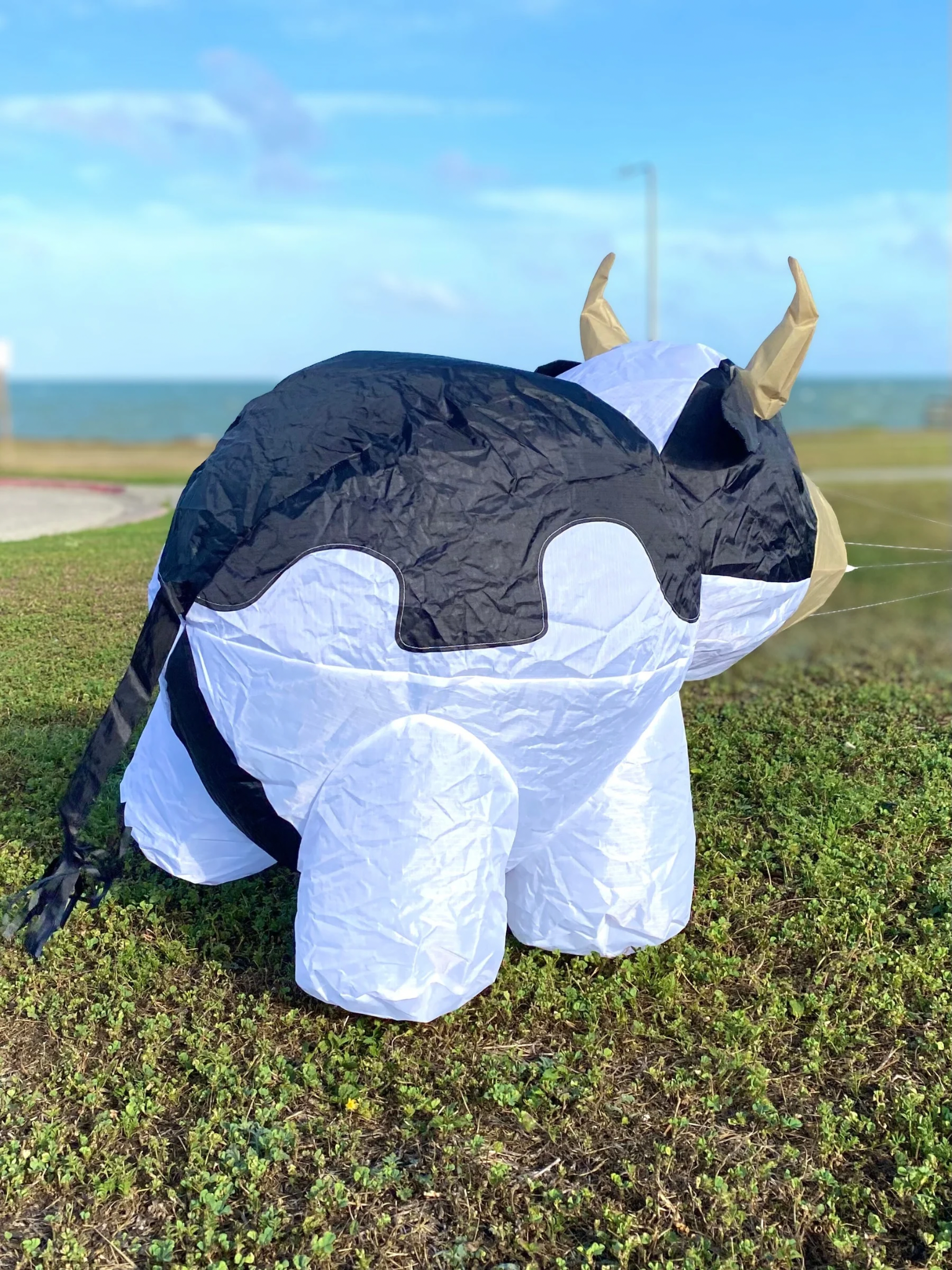 Inflatable cow with black and white fur and yellow horns on grass