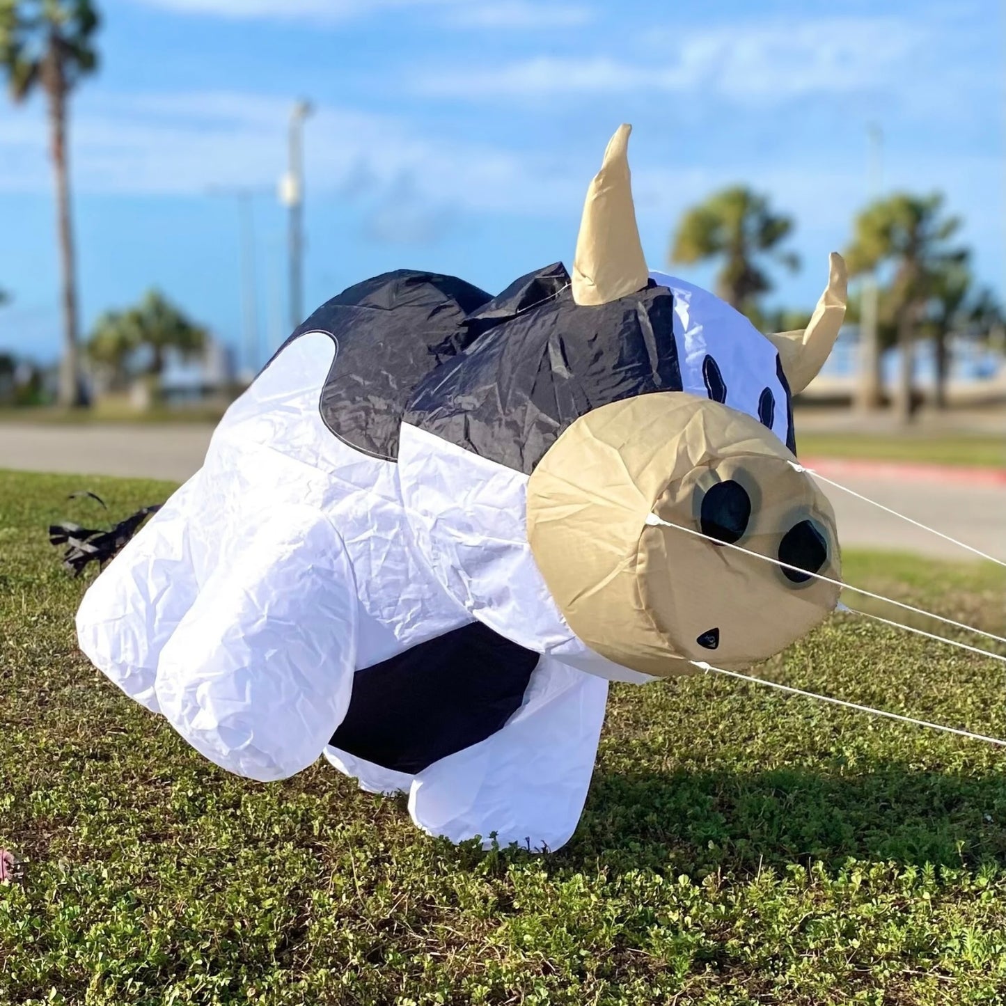 Inflatable cow kite on grass with palm trees in the background