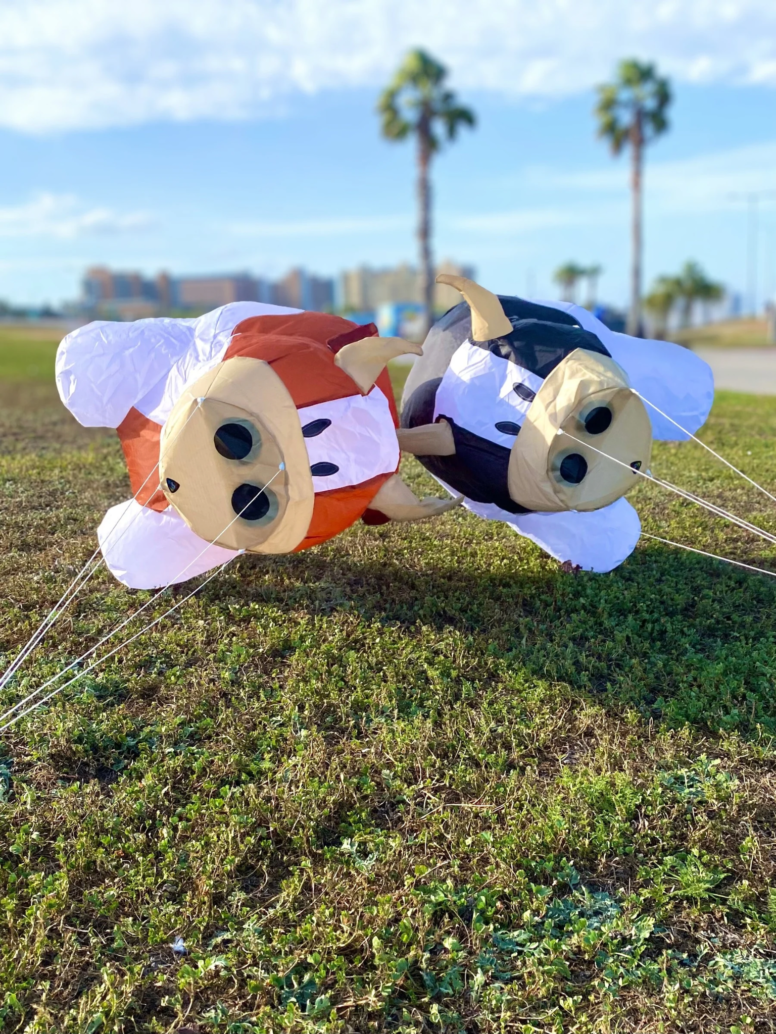 Two cow character kites on grass with palm trees in the background