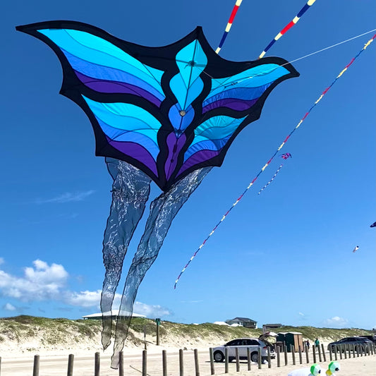 Colorful butterfly-shaped kite flying high in the sky with a beach and cars in the background.