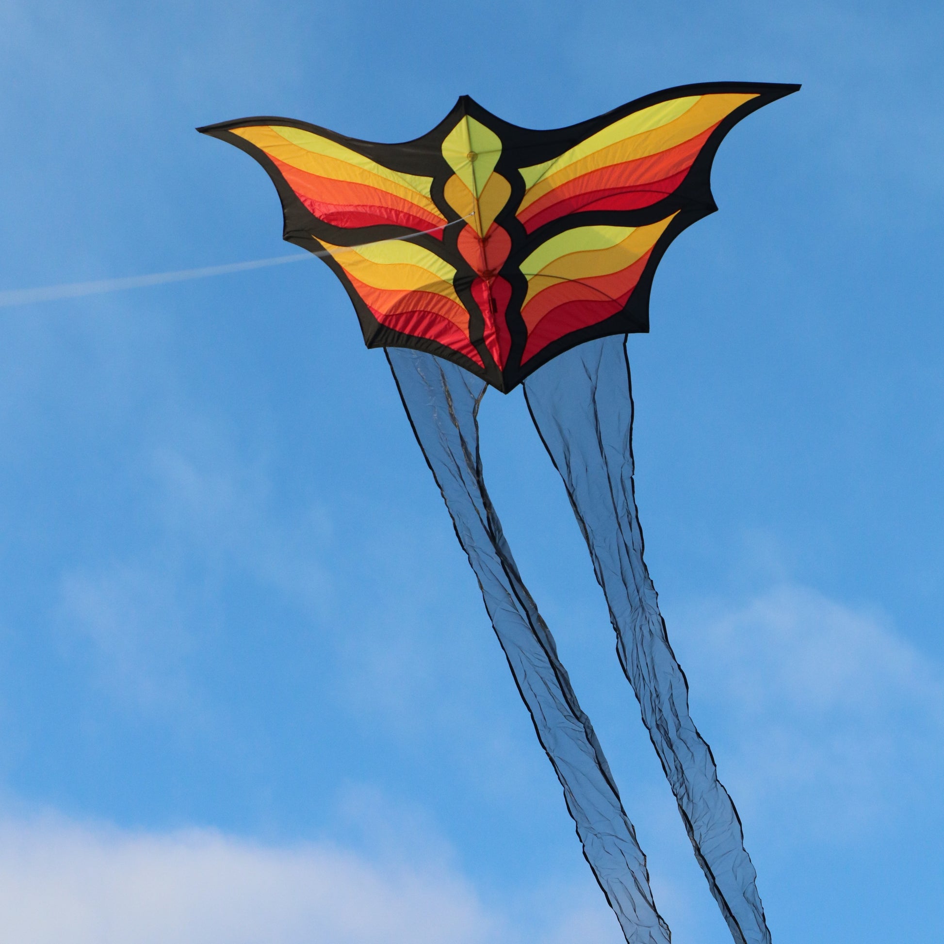Colorful butterfly-shaped kite flying against a blue sky with a few clouds.