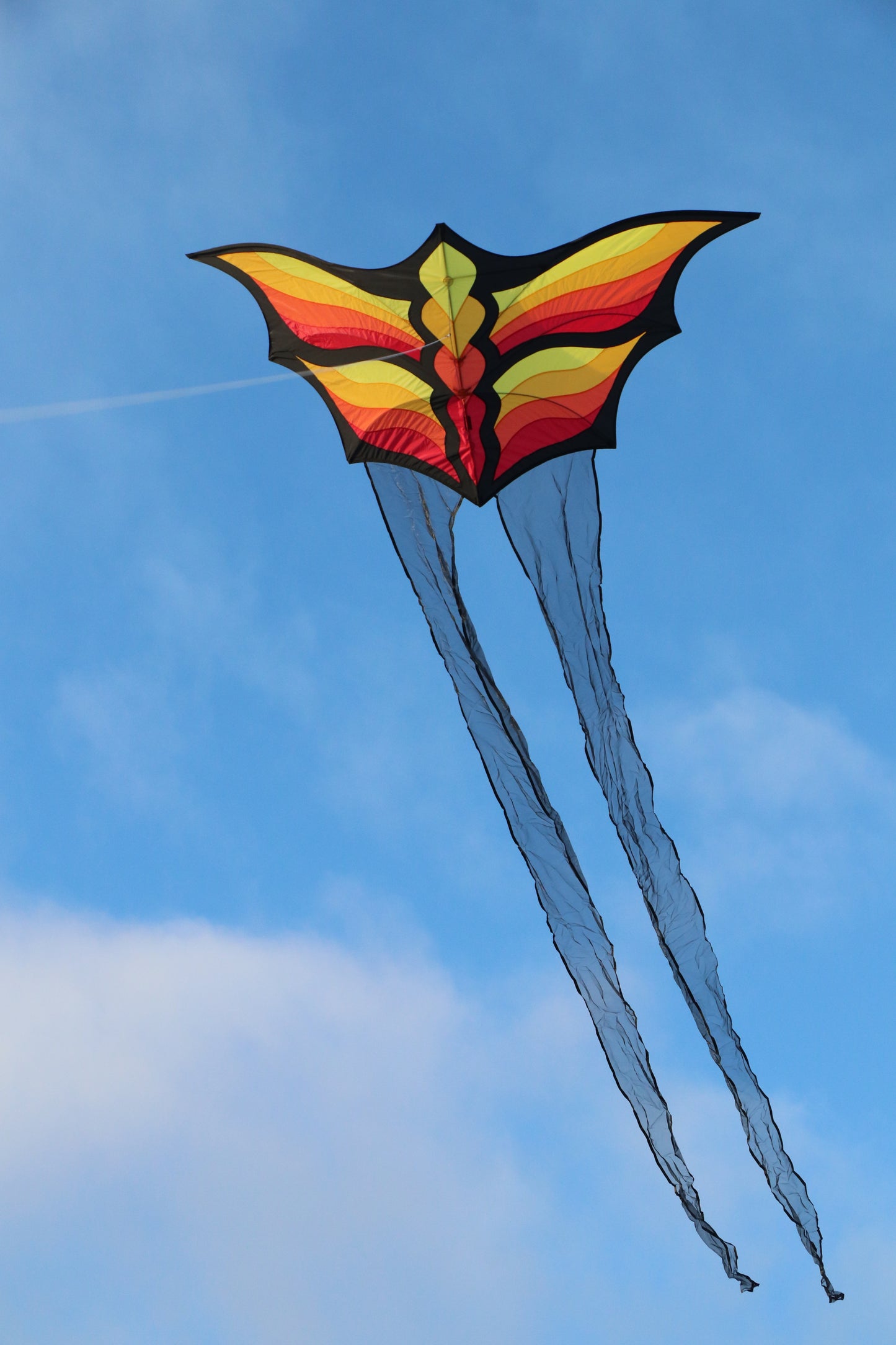 Colorful butterfly-shaped kite flying against a blue sky with a few clouds.